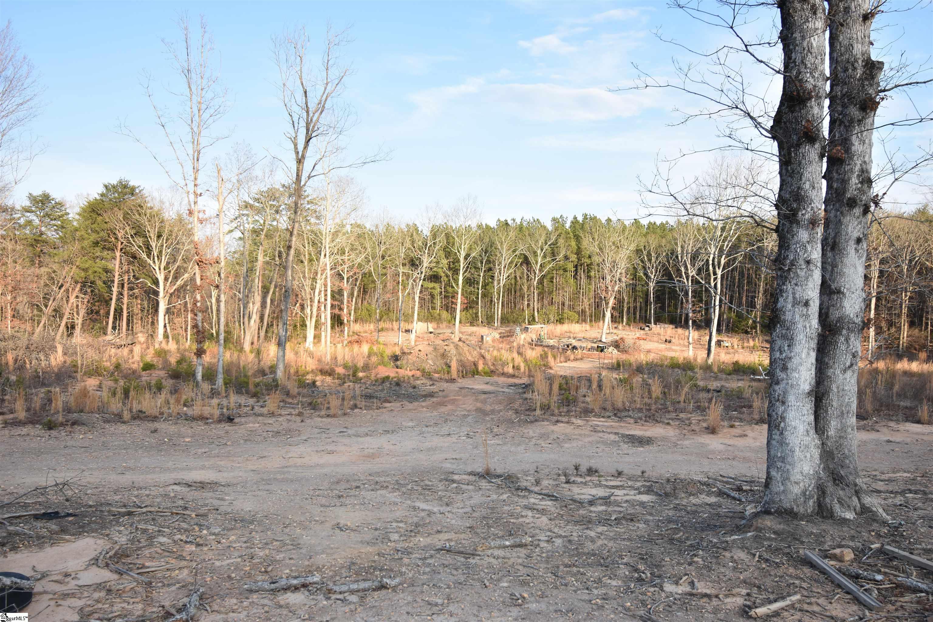 2043 Highway 11, Landrum, South Carolina image 2
