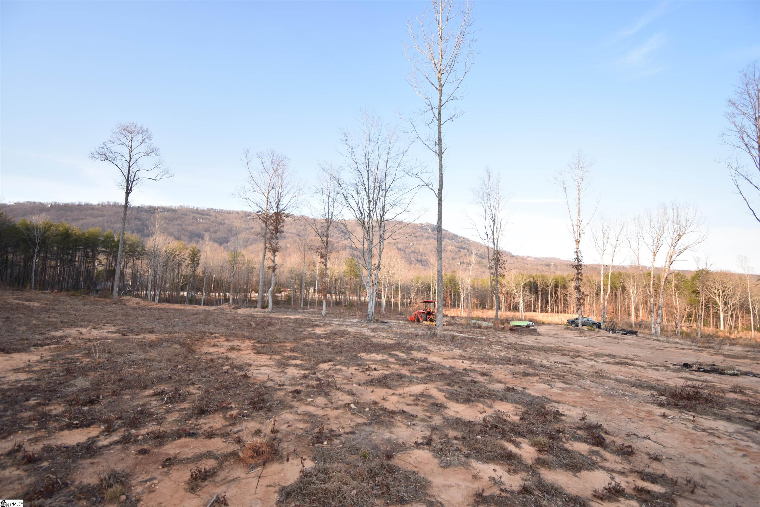 2043 Highway 11, Landrum, South Carolina image 4