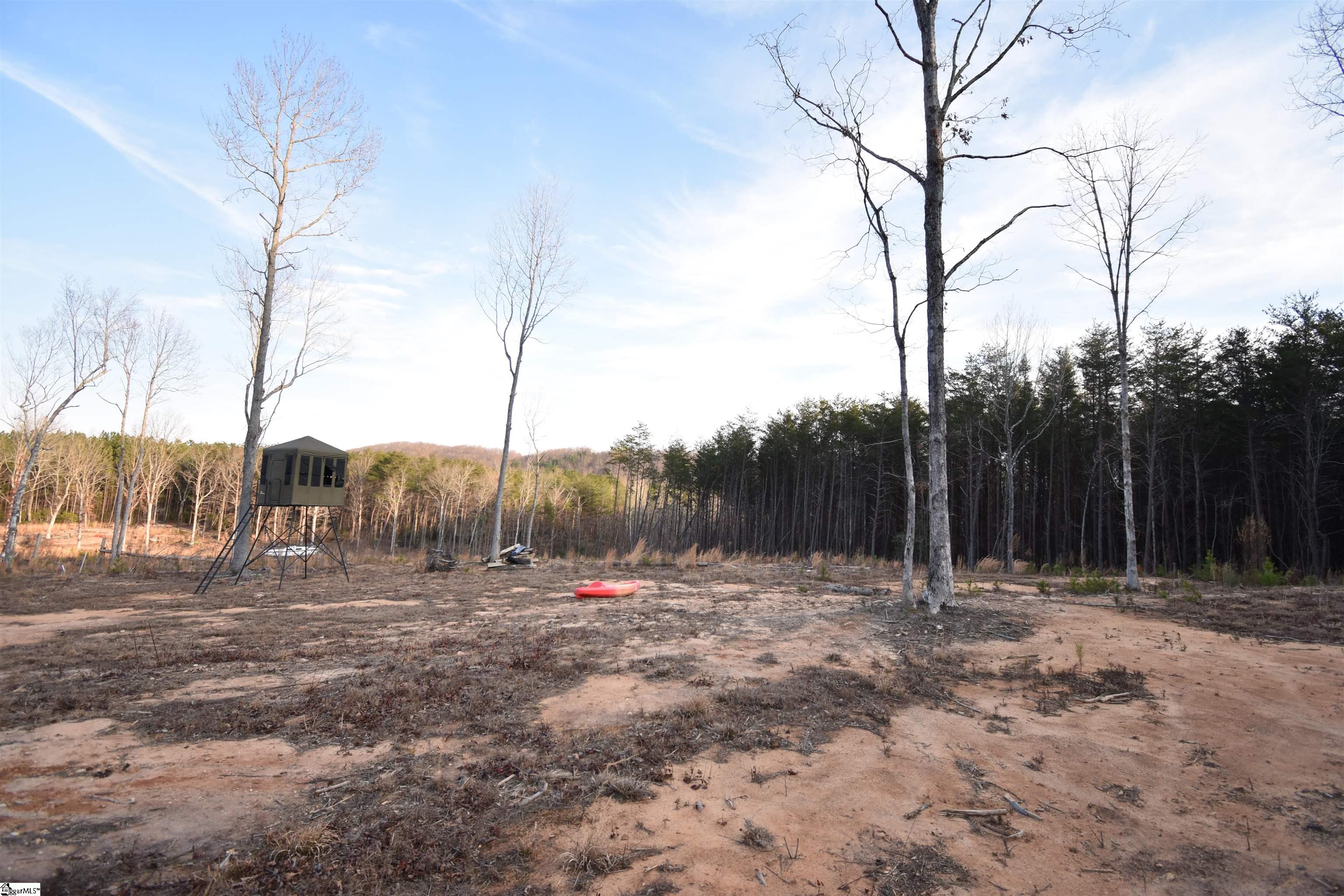2043 Highway 11, Landrum, South Carolina image 6