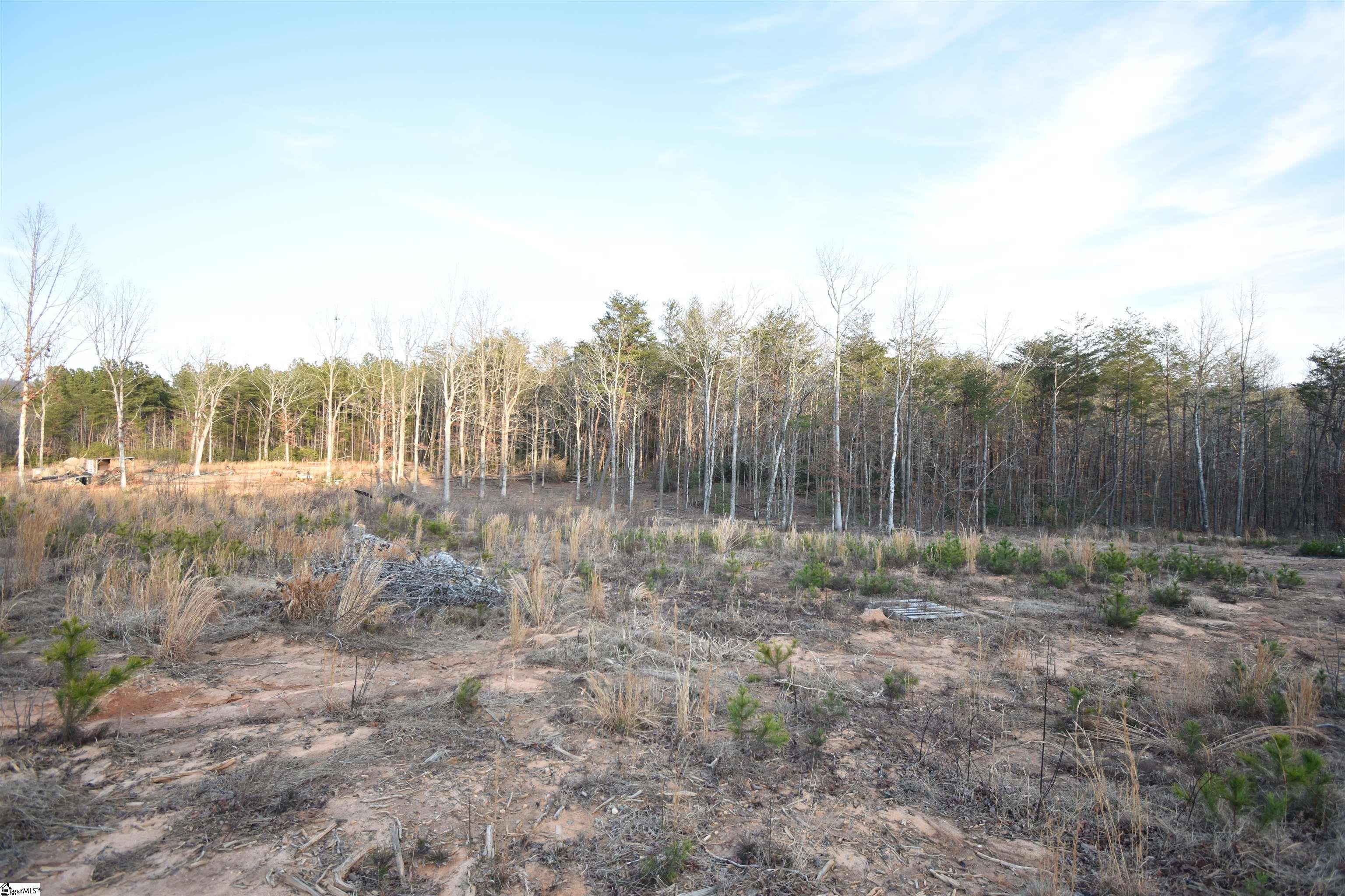 2043 Highway 11, Landrum, South Carolina image 7
