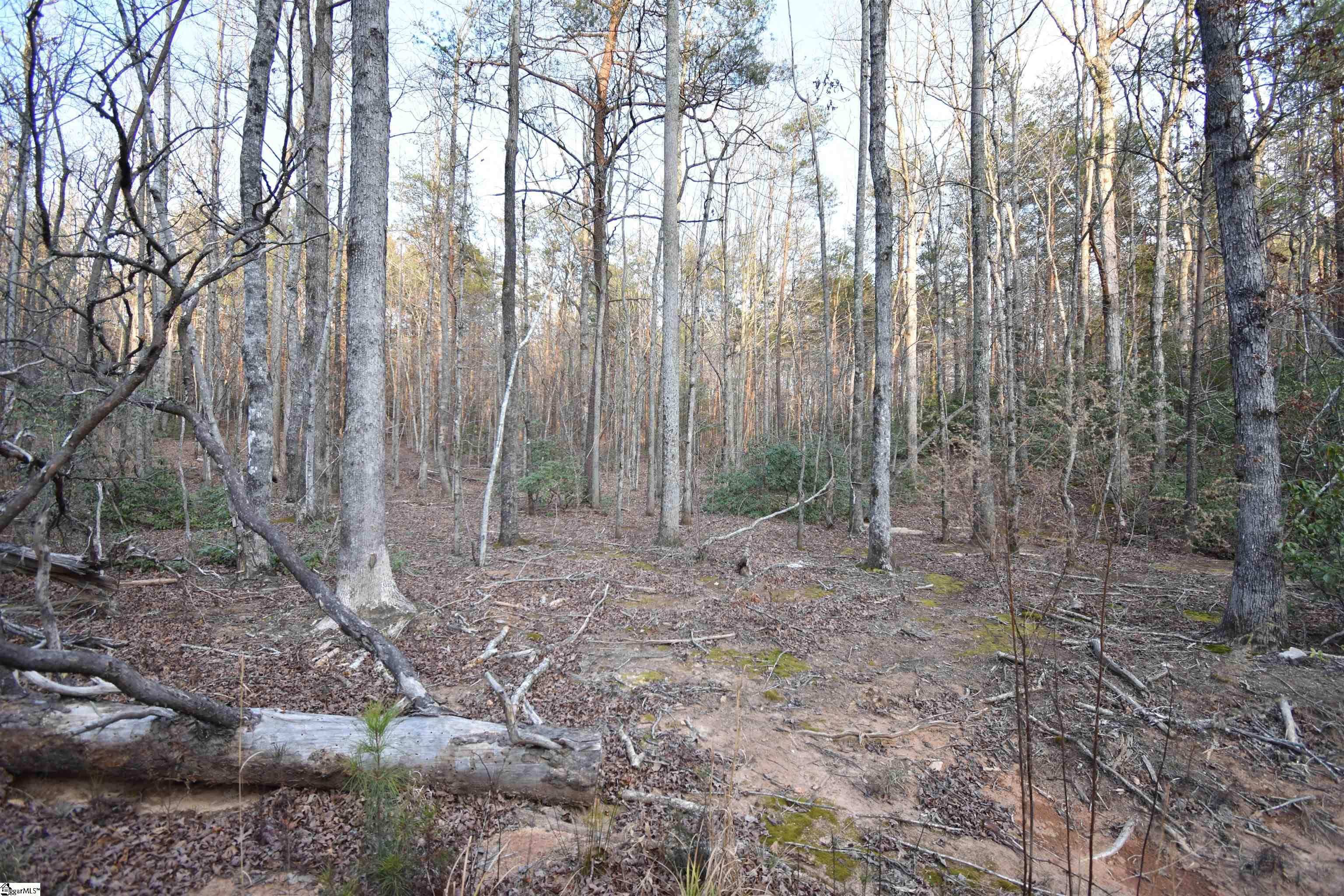 2043 Highway 11, Landrum, South Carolina image 9