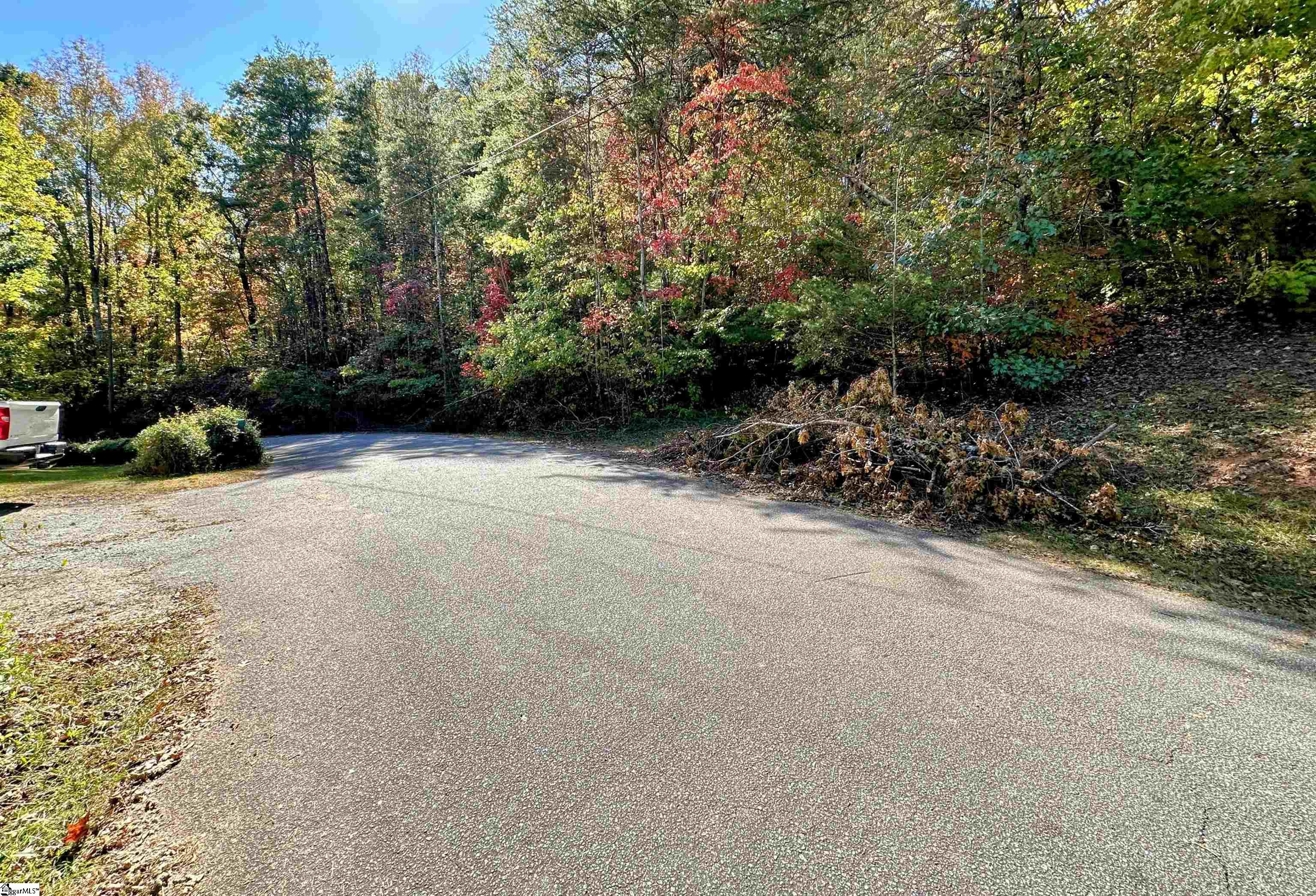 0000 Forest, Travelers Rest, South Carolina image 2