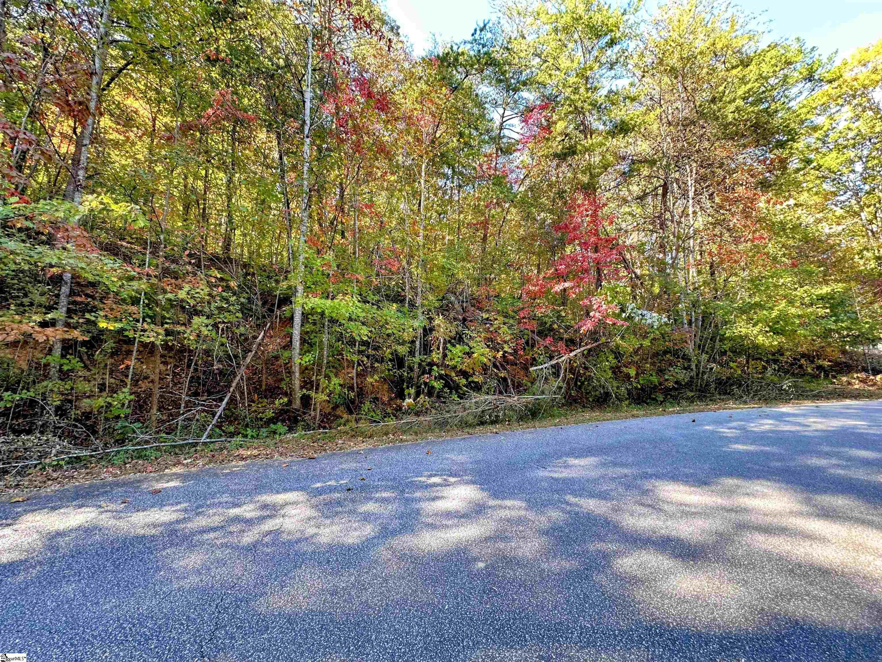 0000 Forest, Travelers Rest, South Carolina image 11