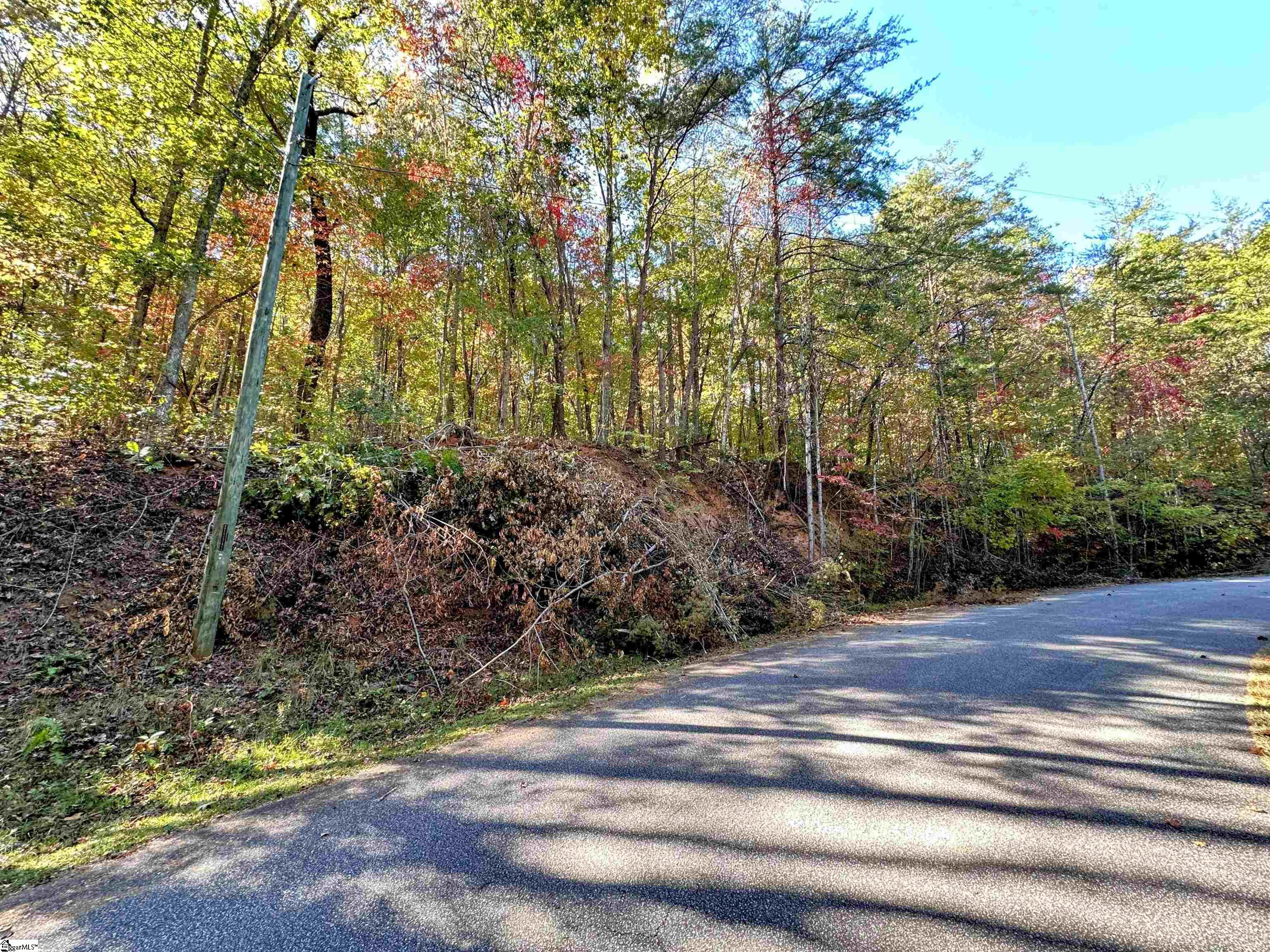 0000 Forest, Travelers Rest, South Carolina image 12
