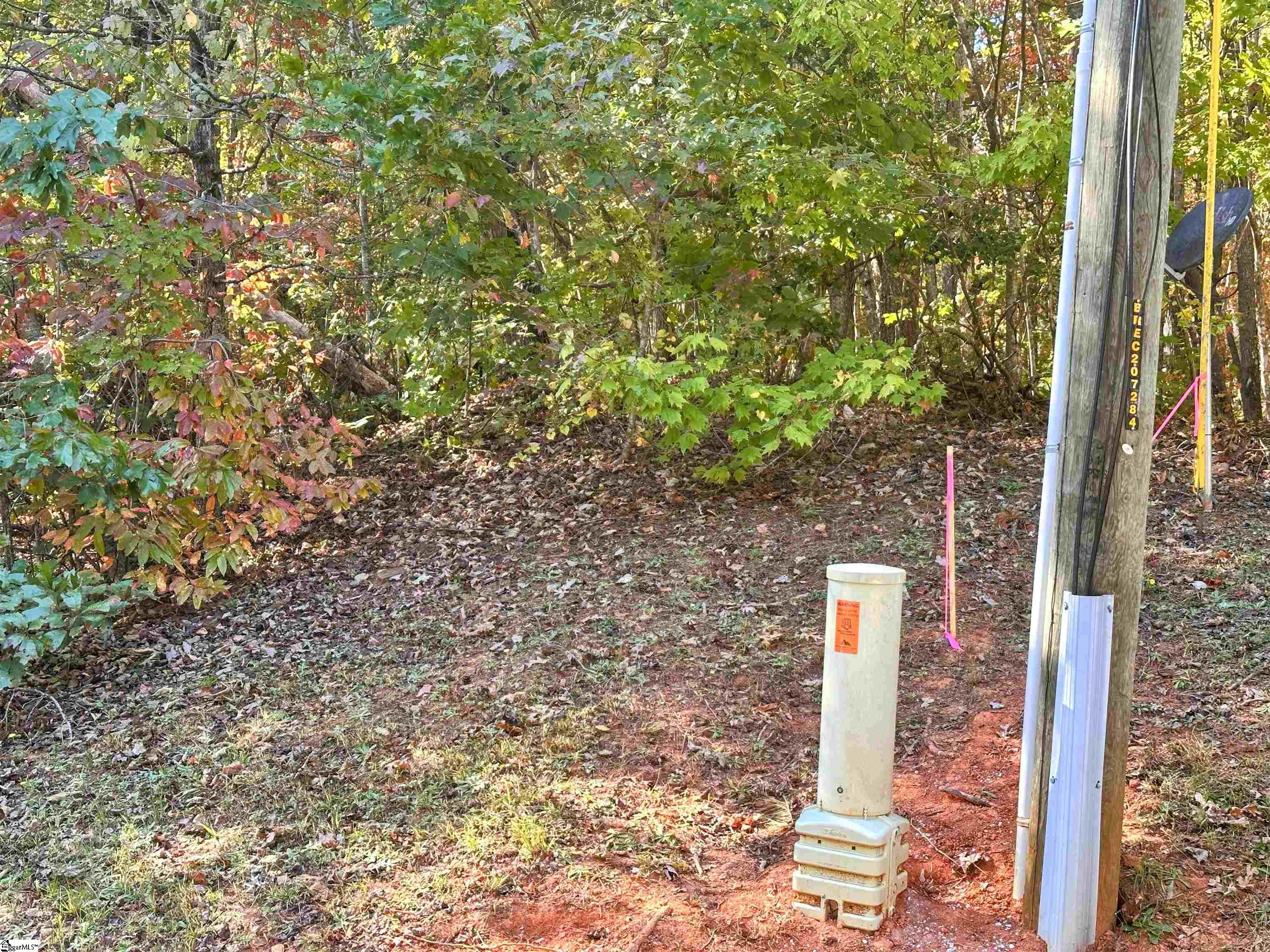 0000 Forest, Travelers Rest, South Carolina image 3