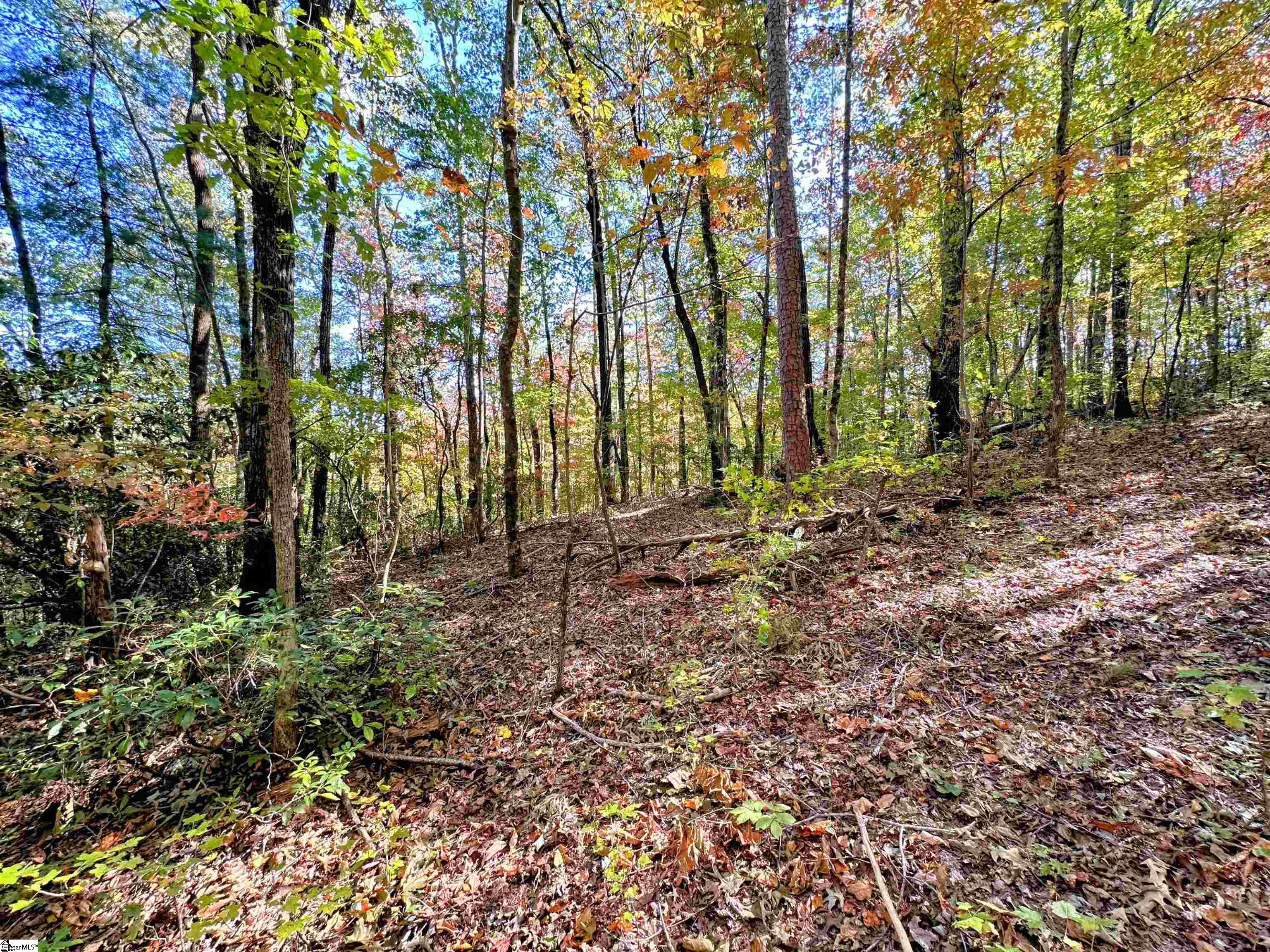 0000 Forest, Travelers Rest, South Carolina image 4