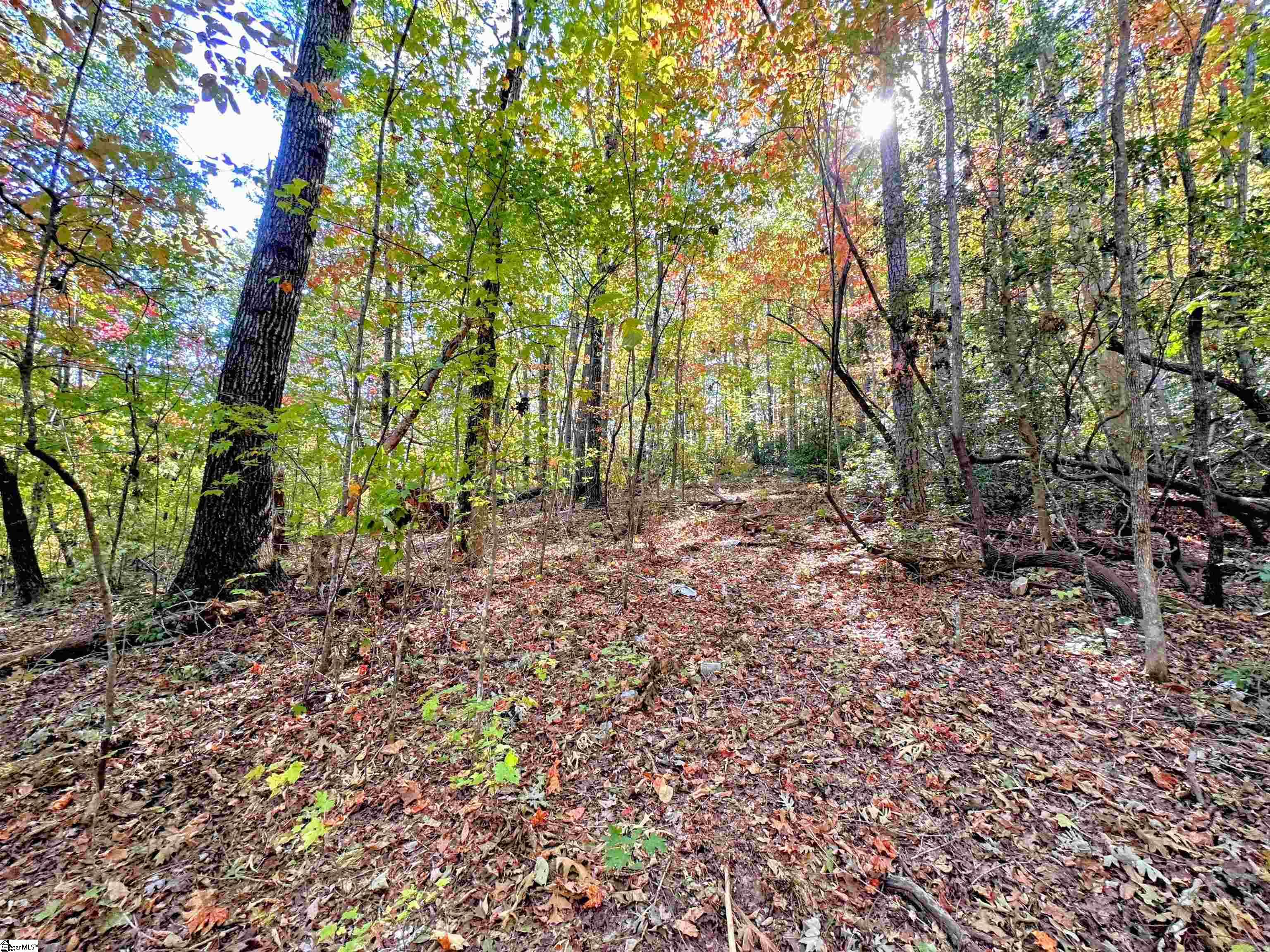 0000 Forest, Travelers Rest, South Carolina image 5
