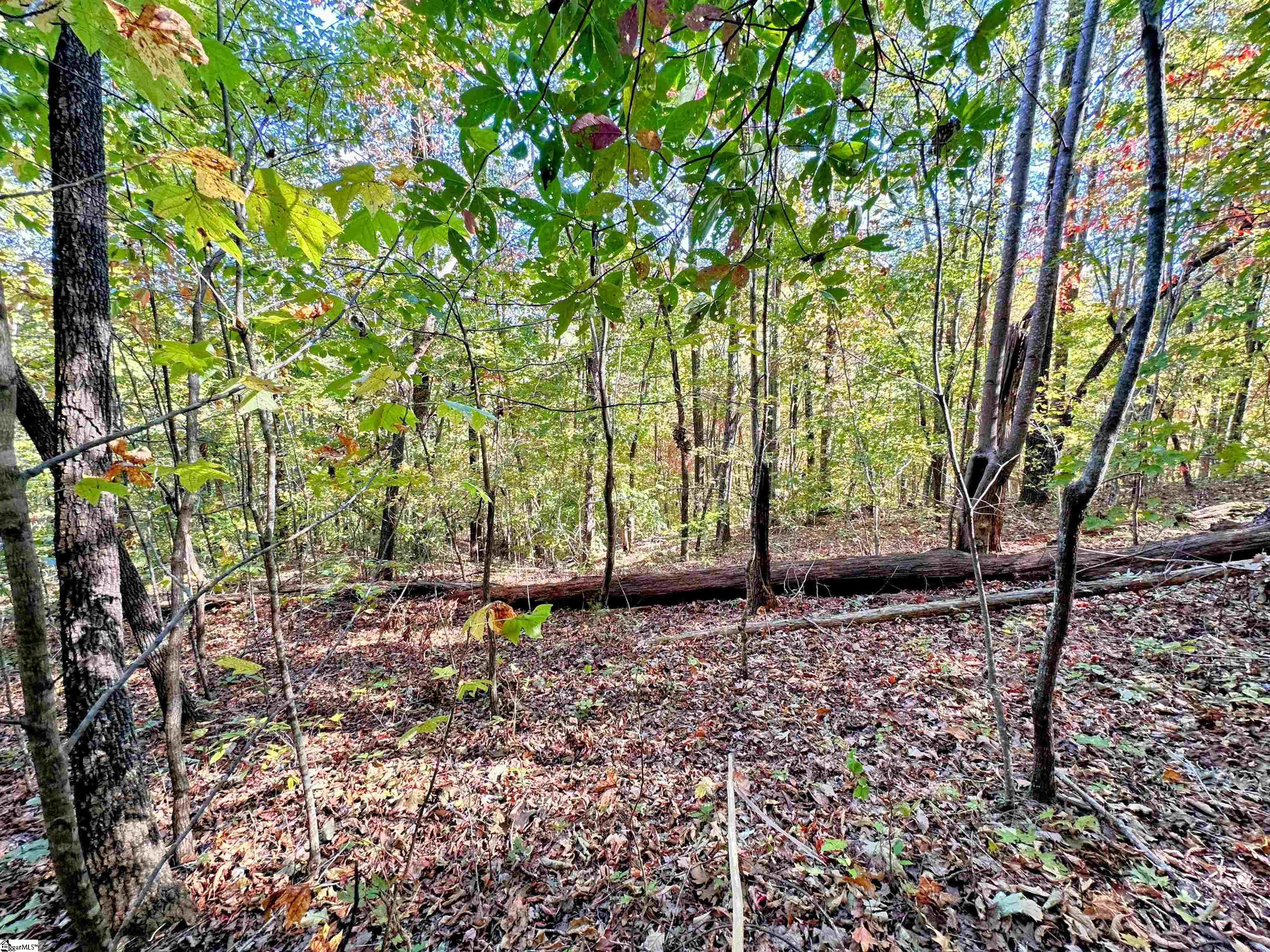 0000 Forest, Travelers Rest, South Carolina image 7