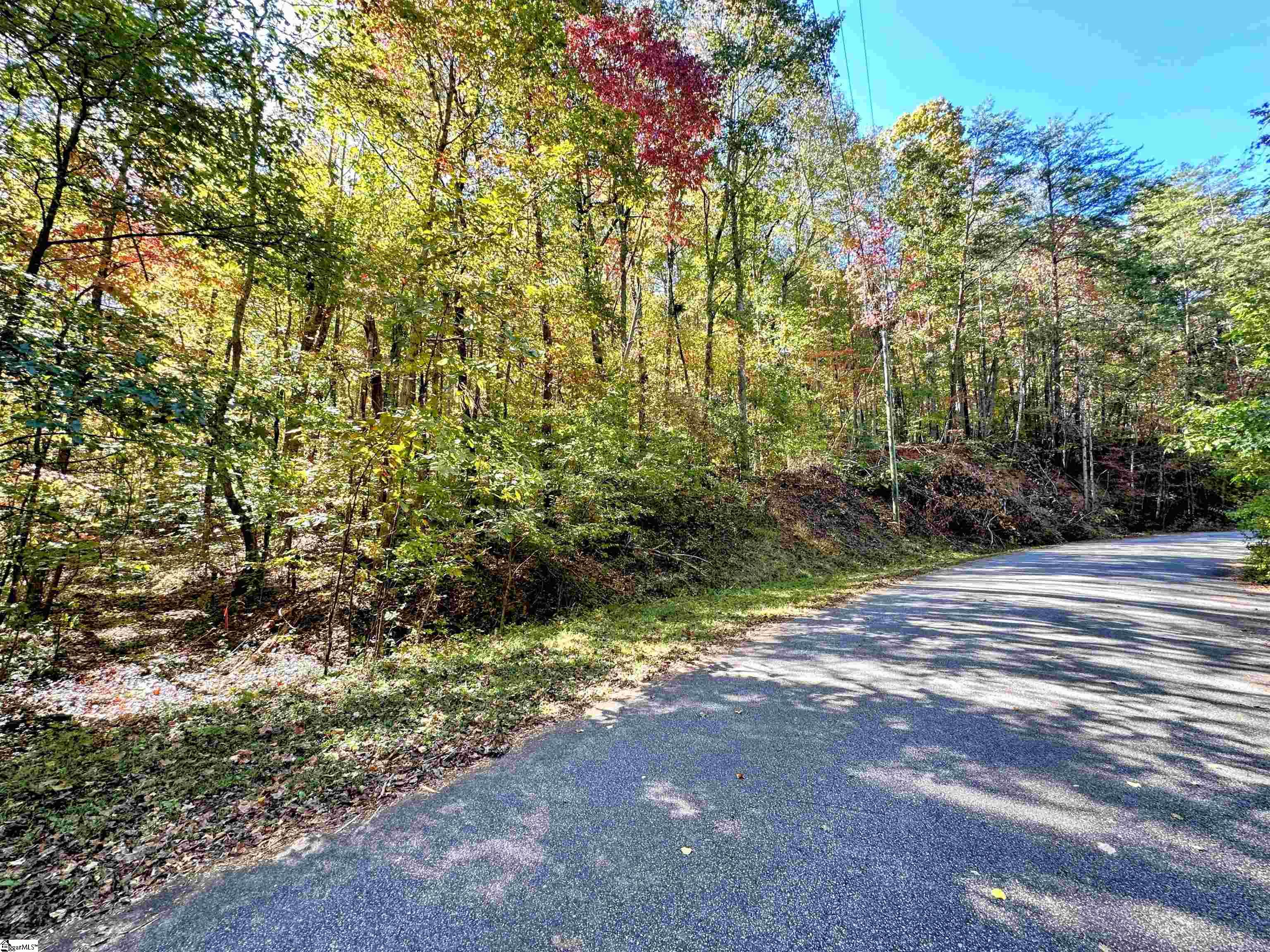 0000 Forest, Travelers Rest, South Carolina image 9