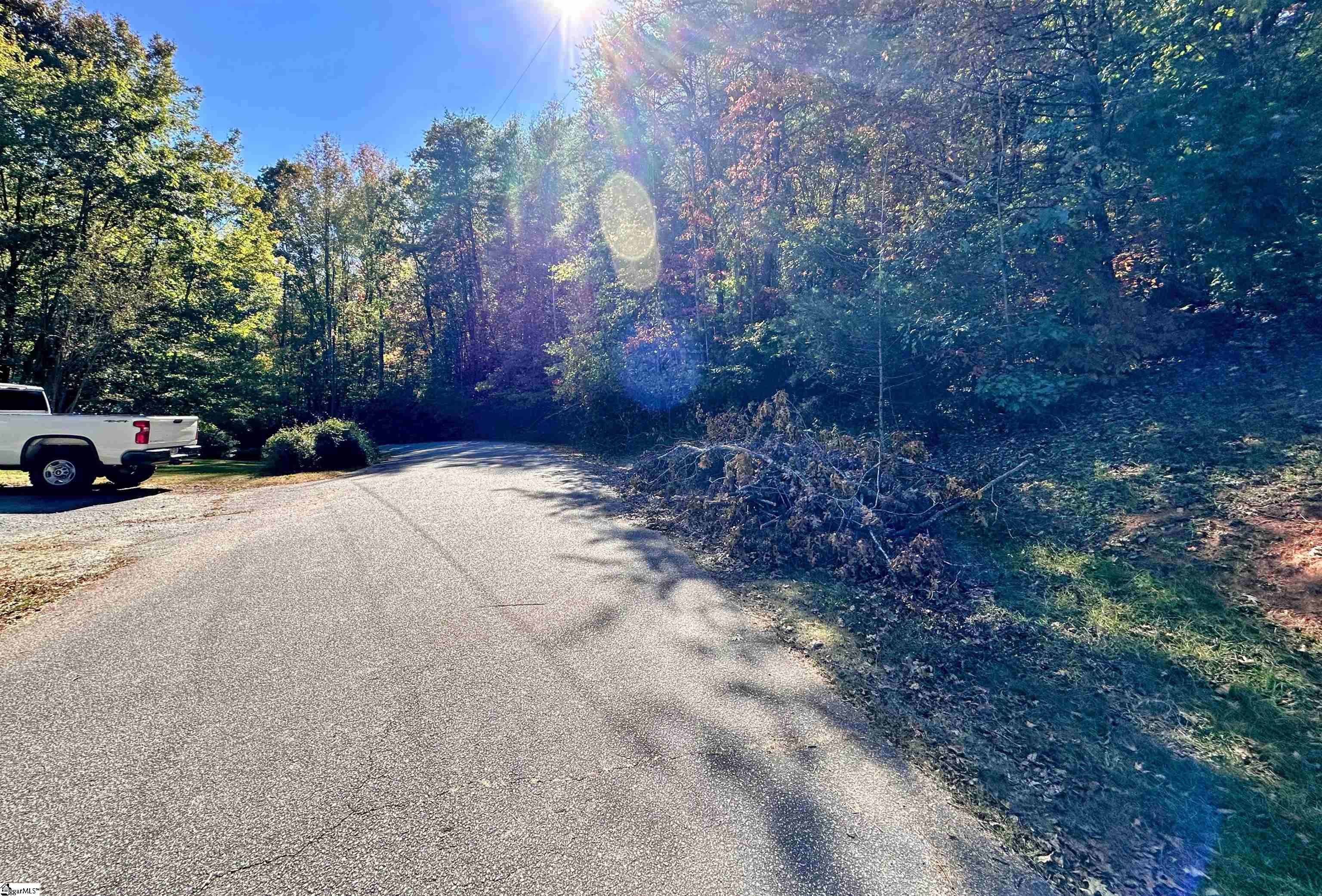 0000 Forest, Travelers Rest, South Carolina image 10