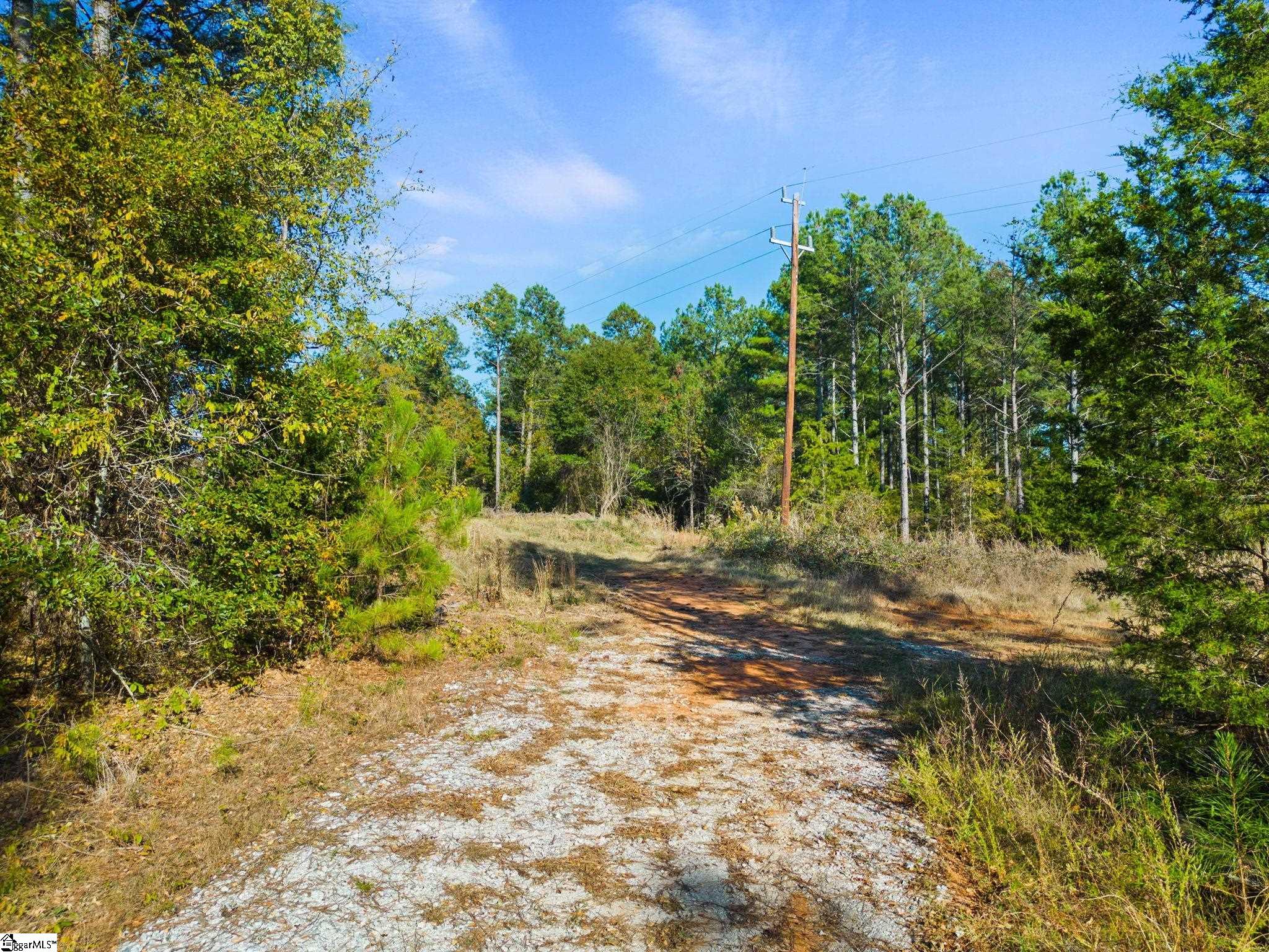 13755 Neely Ferry, Waterloo, South Carolina image 13