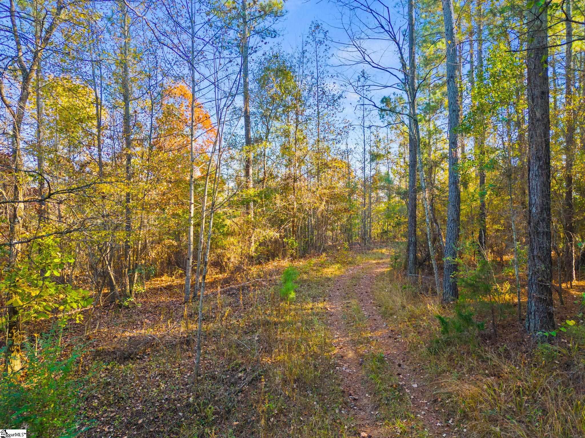 13755 Neely Ferry, Waterloo, South Carolina image 4