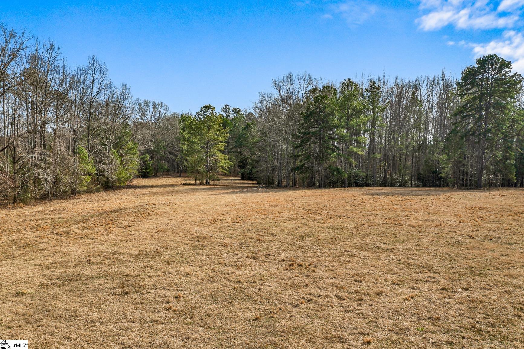 00 Midway, Williamston, South Carolina image 12