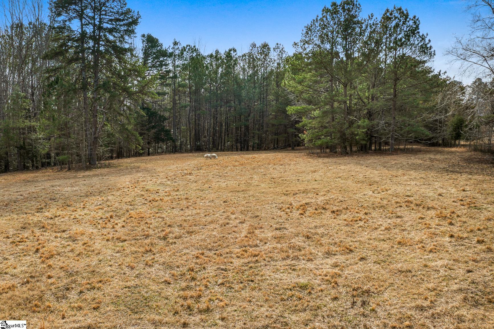 00 Midway, Williamston, South Carolina image 13