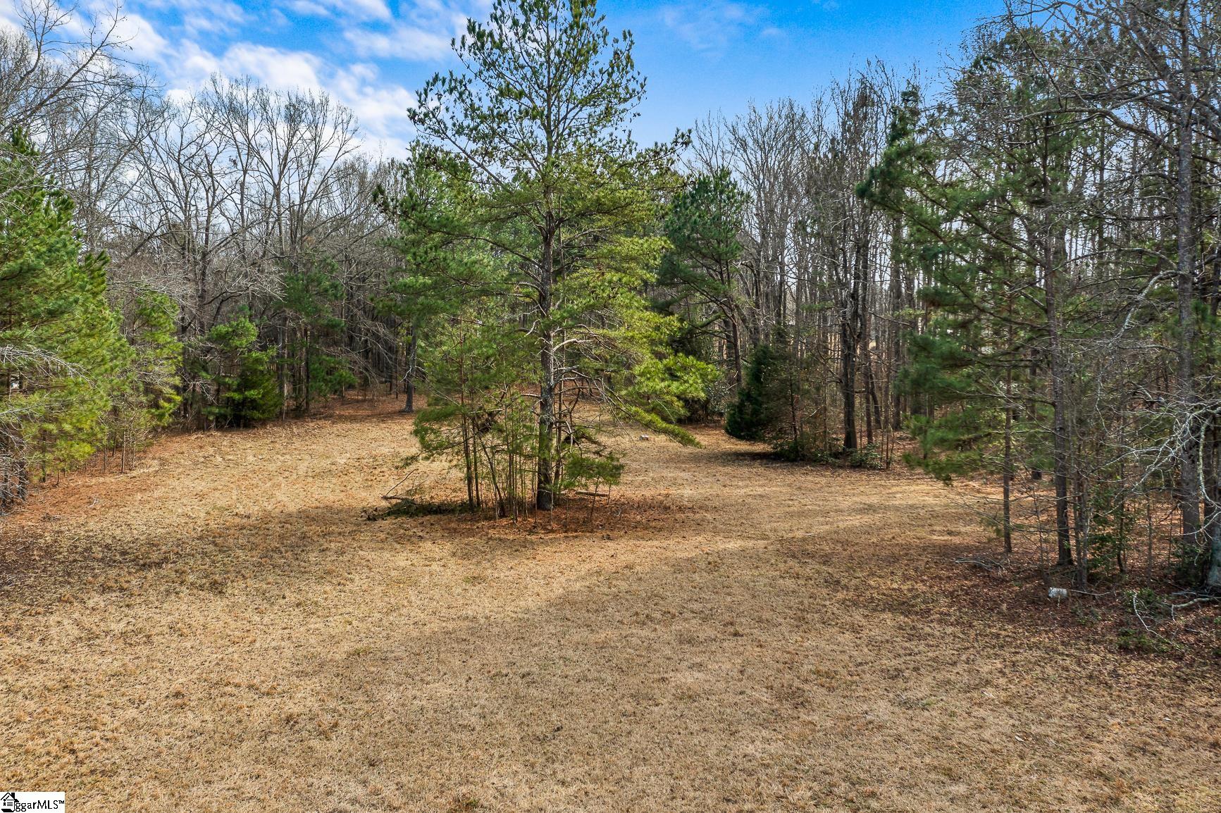 00 Midway, Williamston, South Carolina image 14