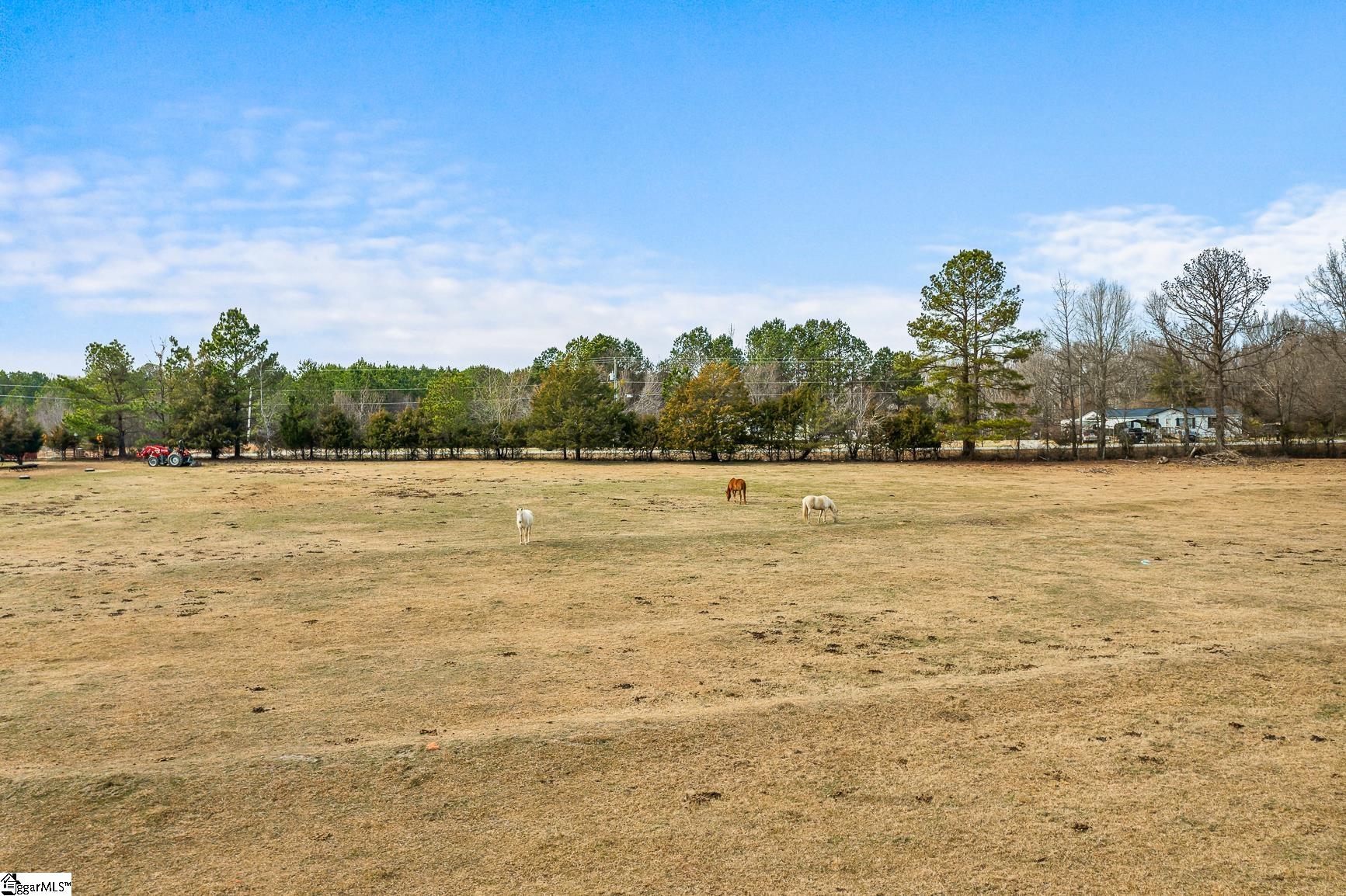 00 Midway, Williamston, South Carolina image 16