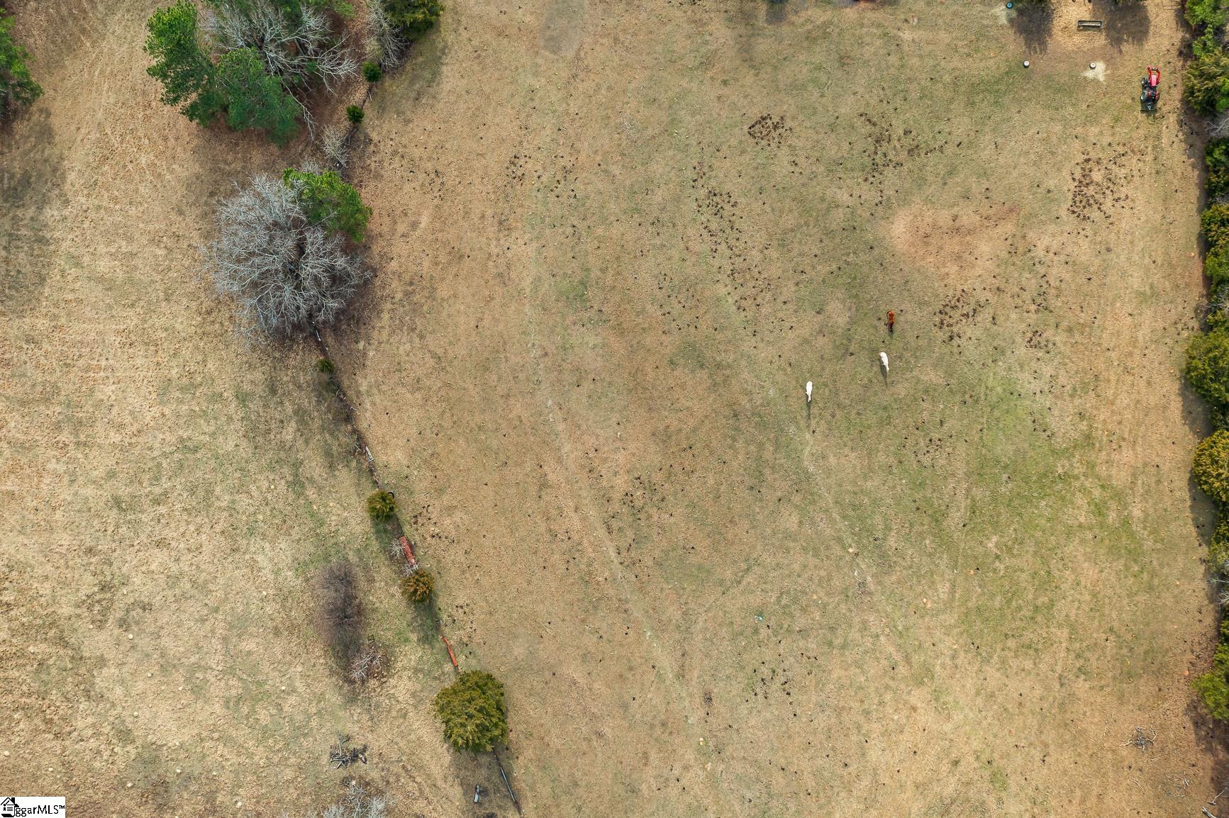 00 Midway, Williamston, South Carolina image 9