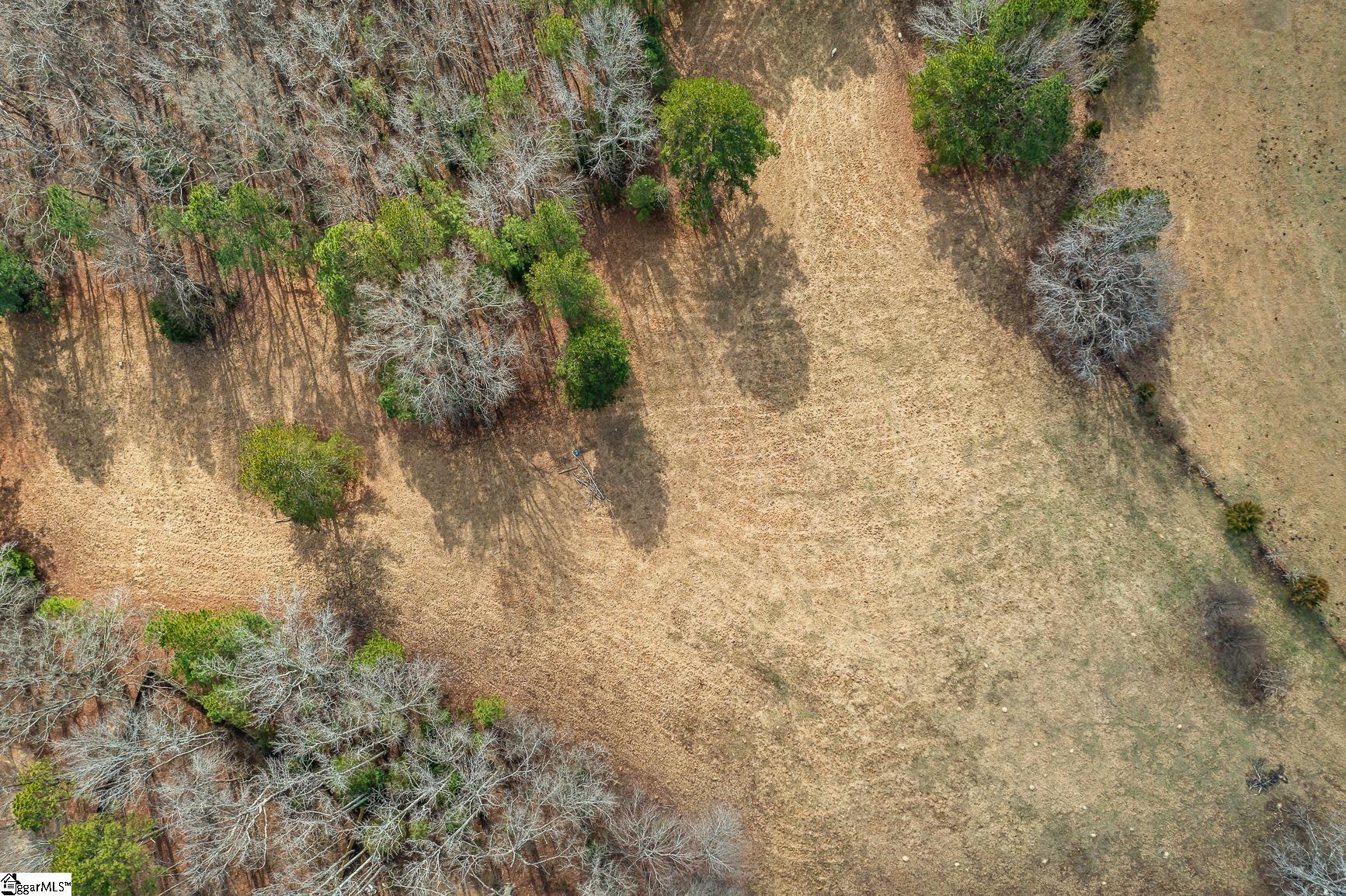 00 Midway, Williamston, South Carolina image 10