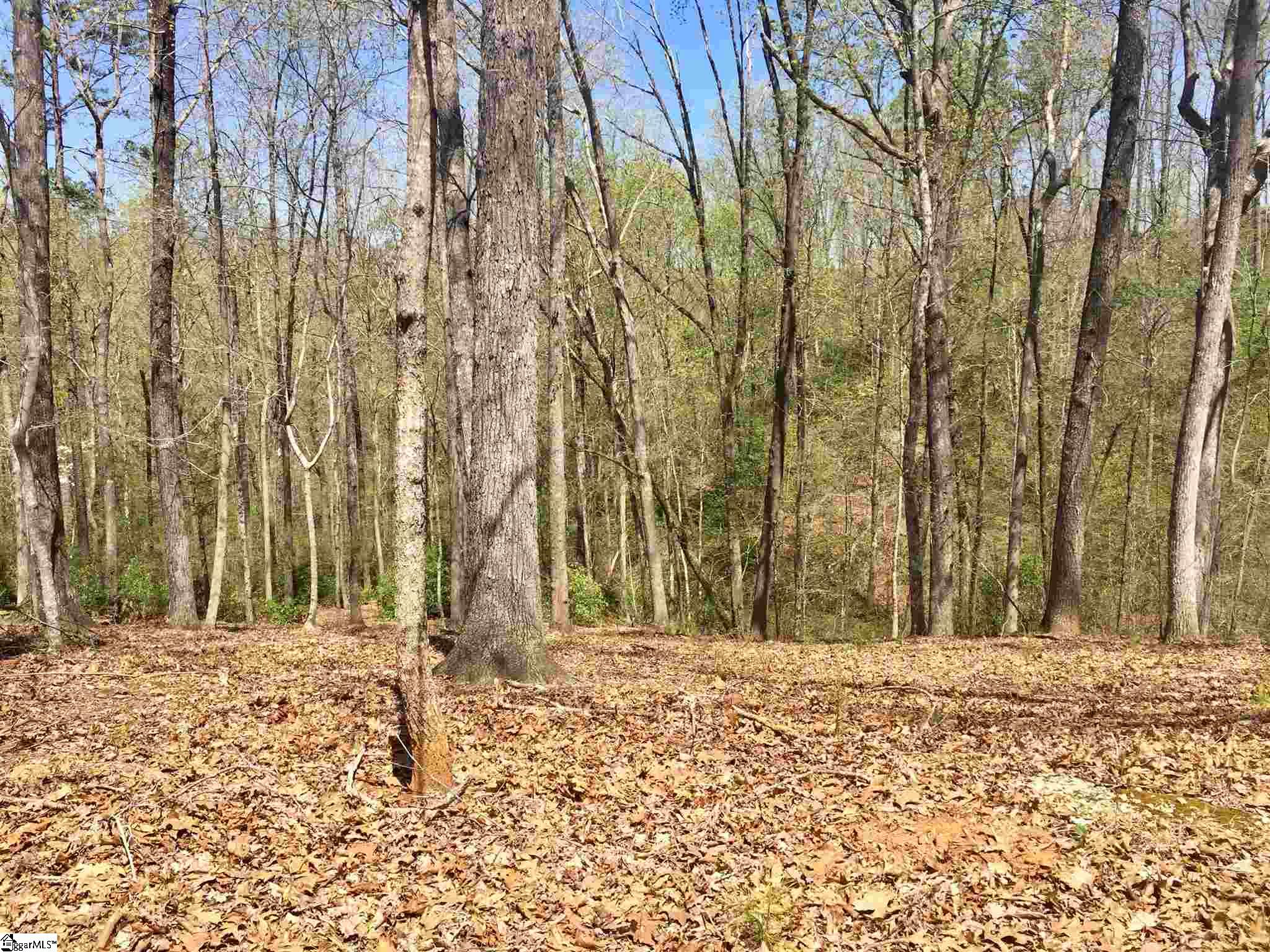 110 Black Knight, Travelers Rest, South Carolina image 2