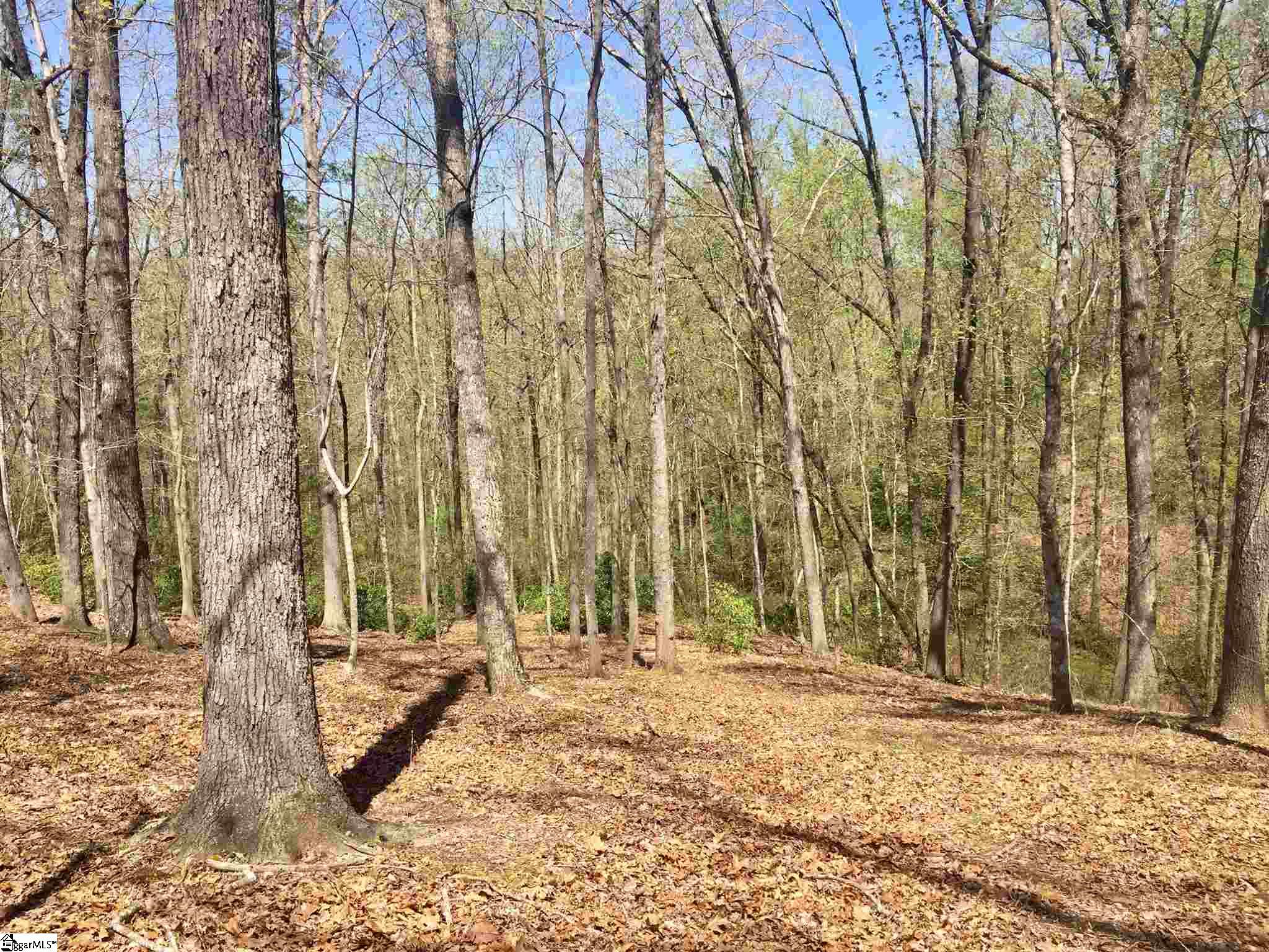 110 Black Knight, Travelers Rest, South Carolina image 3