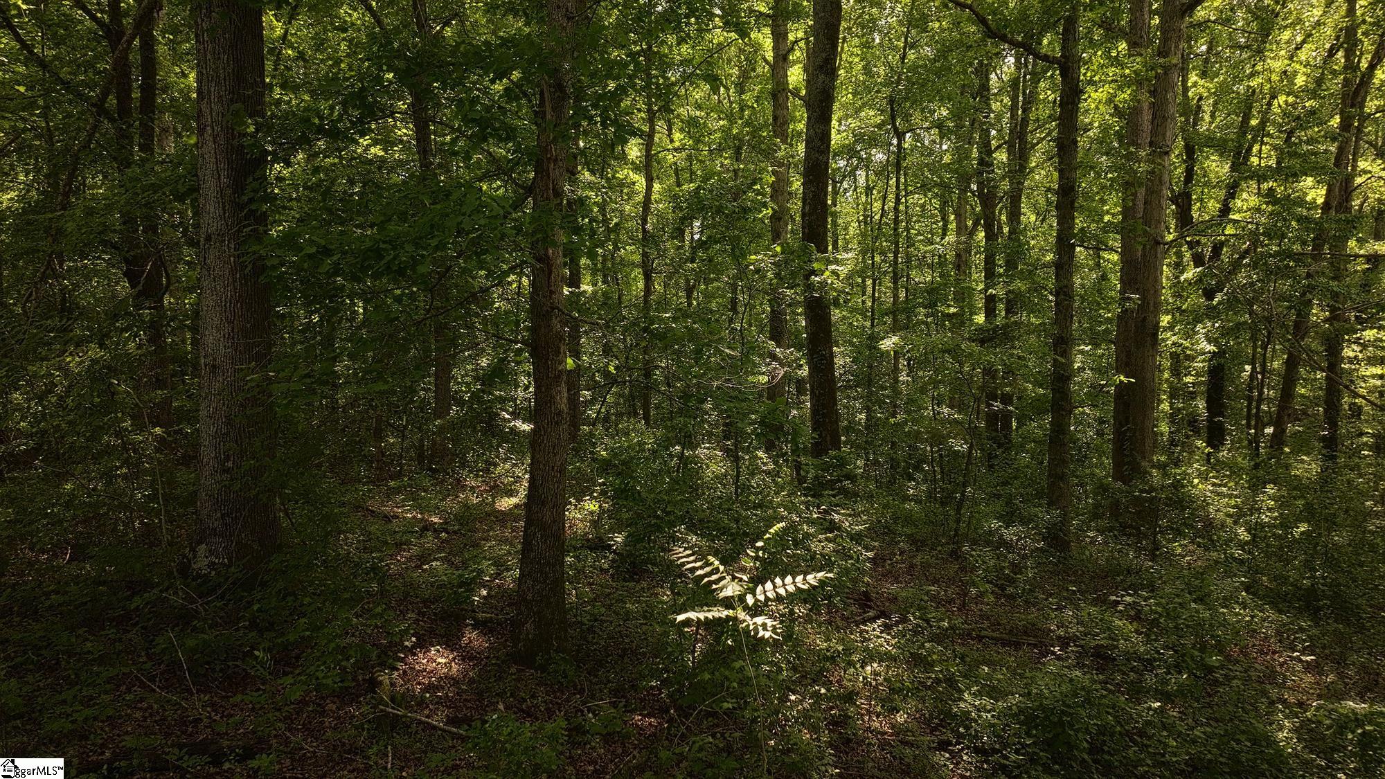3715 357, Inman, South Carolina image 14