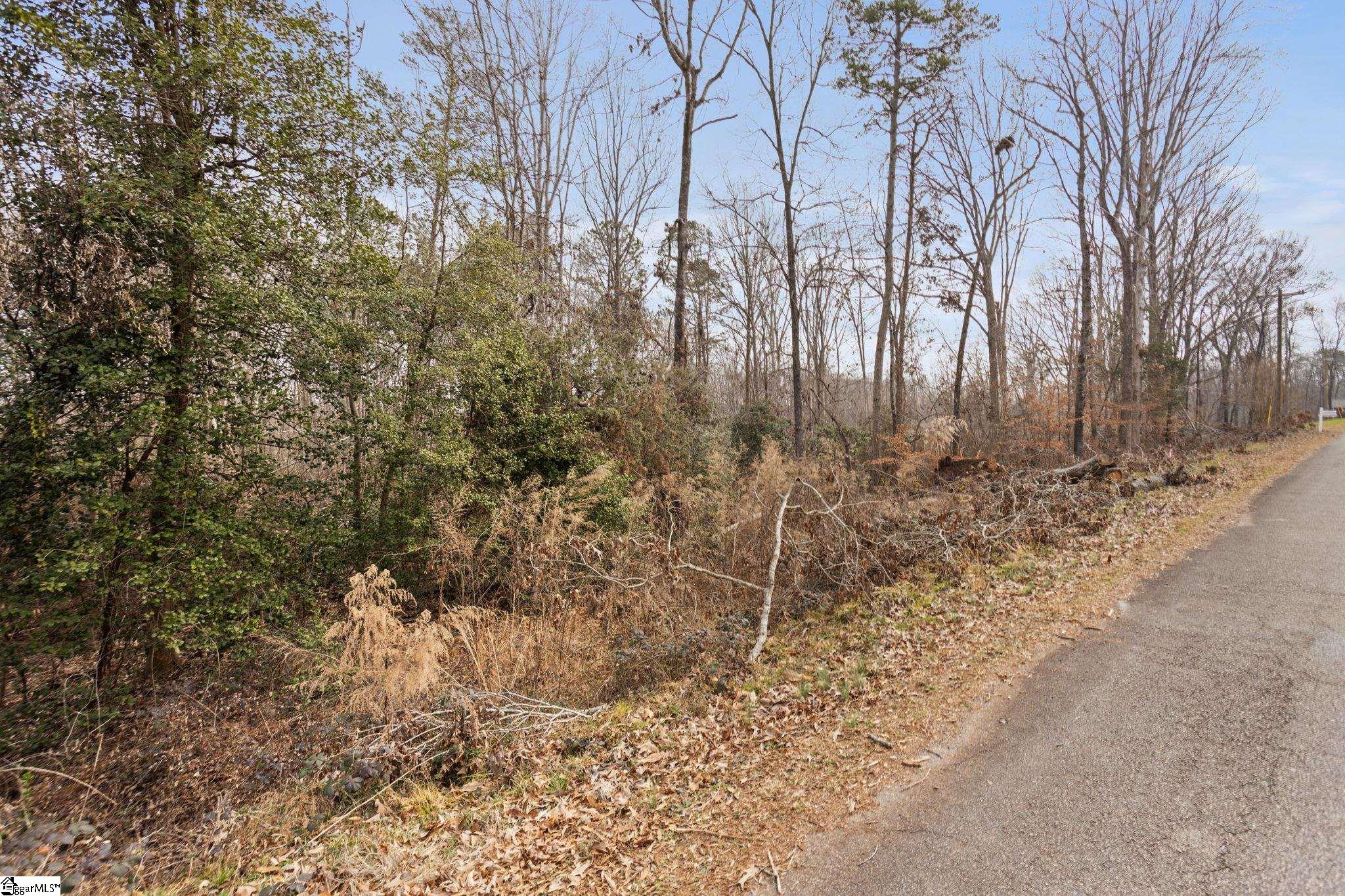 255 Bluebird, Spartanburg, South Carolina image 14