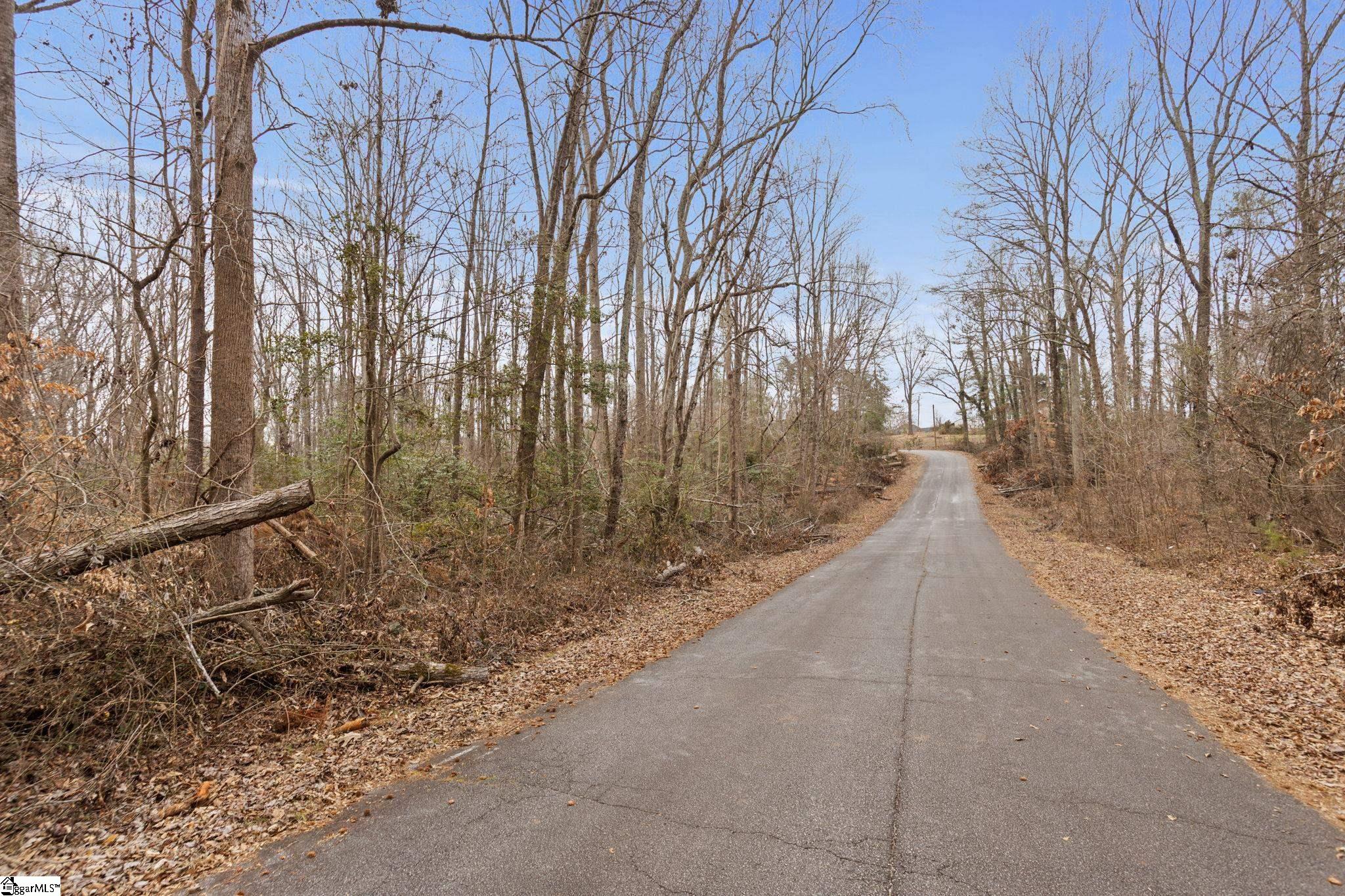 325 Bluebird, Spartanburg, South Carolina image 12