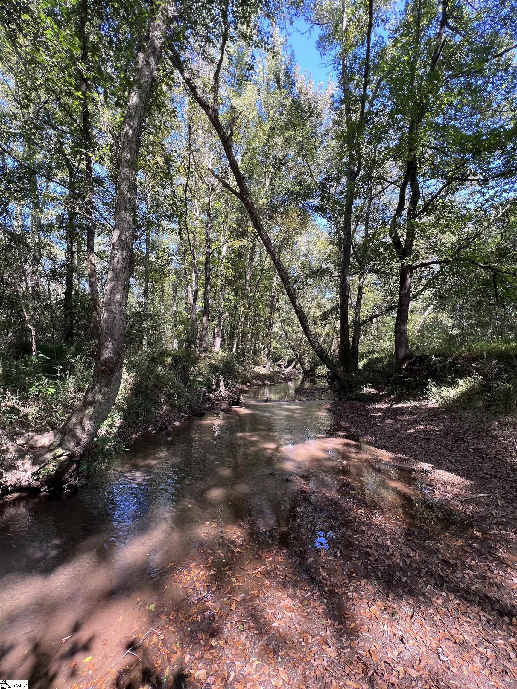 1308 Breazeale, Belton, South Carolina image 29