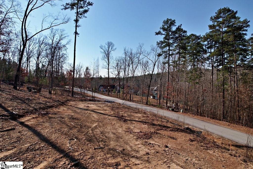 22 Towson, West Union, South Carolina image 17