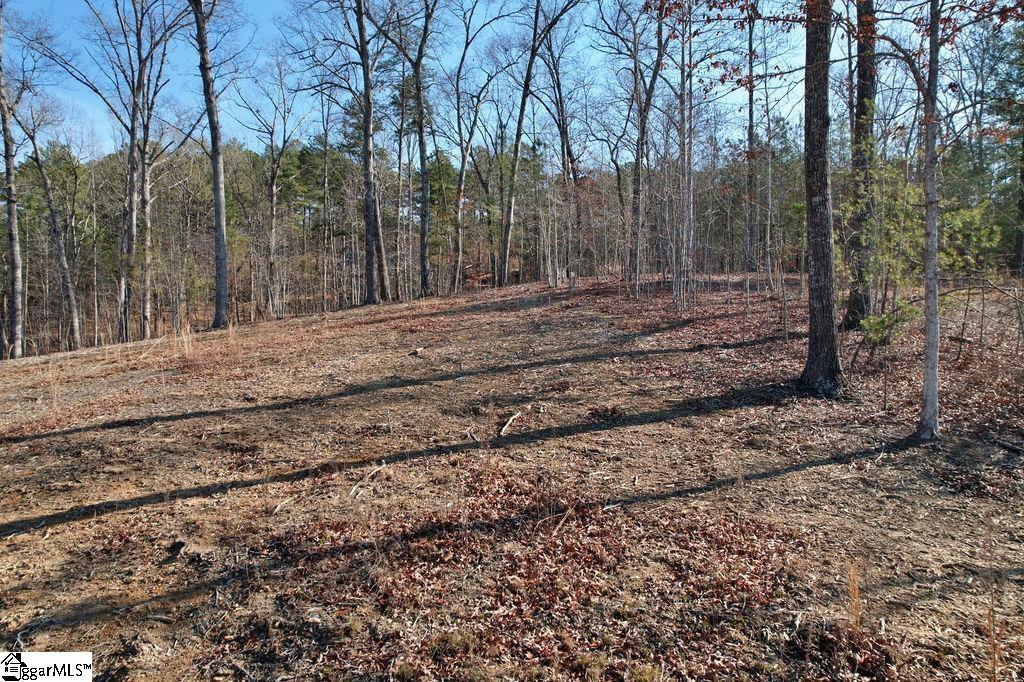22 Towson, West Union, South Carolina image 19