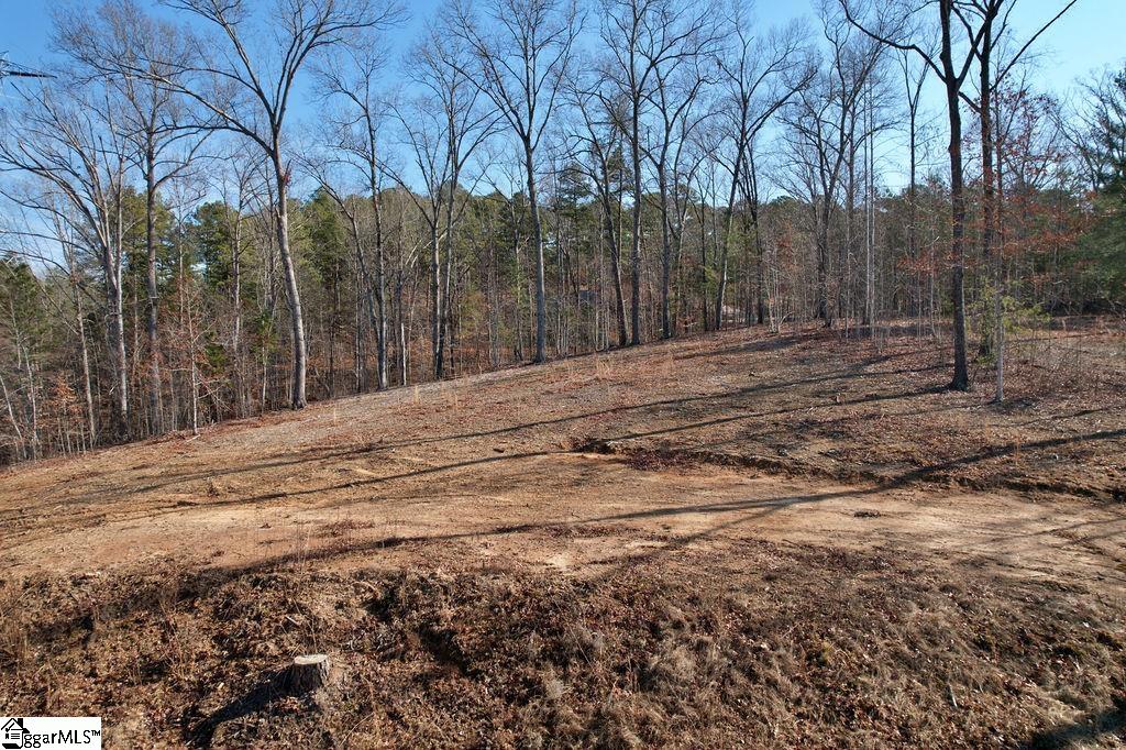 22 Towson, West Union, South Carolina image 21