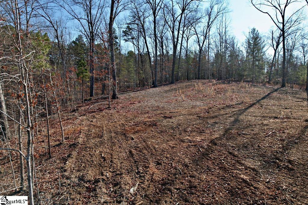 22 Towson, West Union, South Carolina image 23