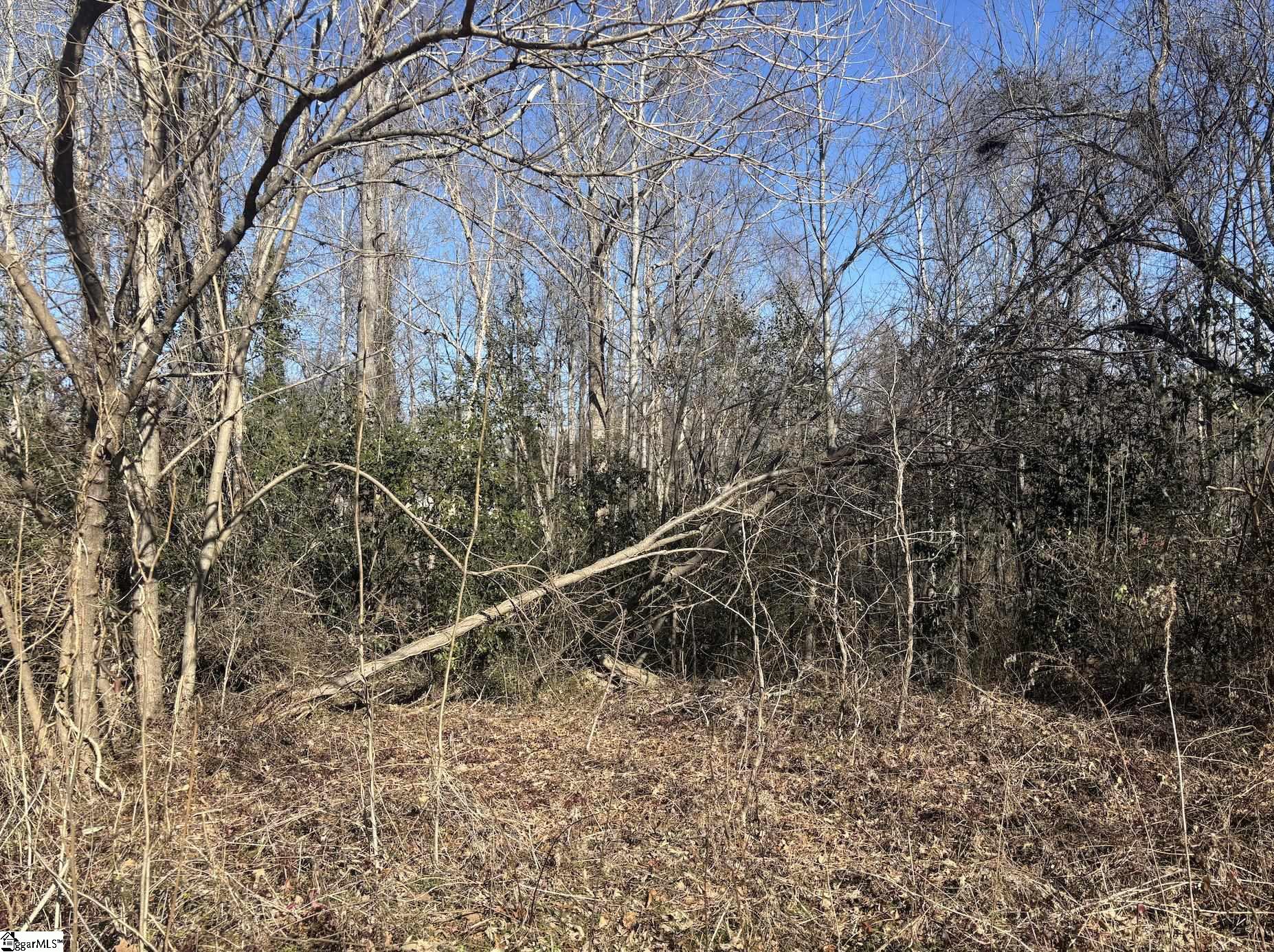 521 Dogwood, Pacolet, South Carolina image 3