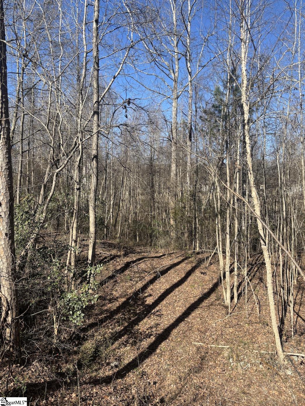 521 Dogwood, Pacolet, South Carolina image 4