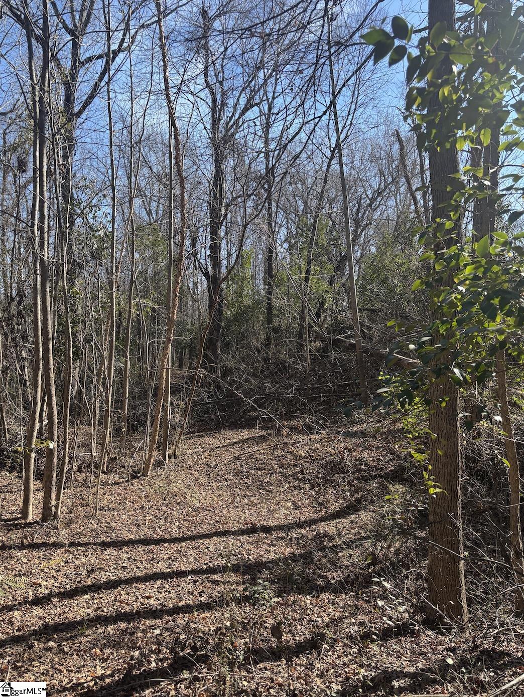 521 Dogwood, Pacolet, South Carolina image 6