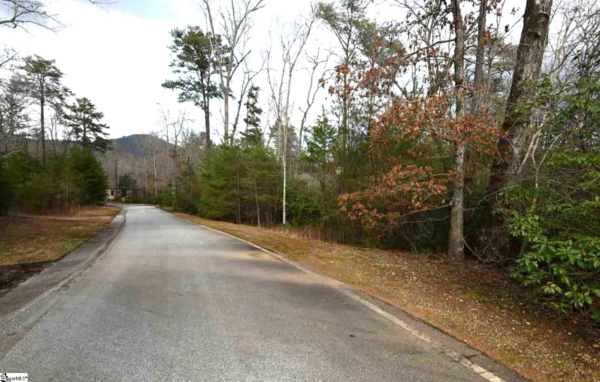 113 Valley Lake, Travelers Rest, South Carolina image 4
