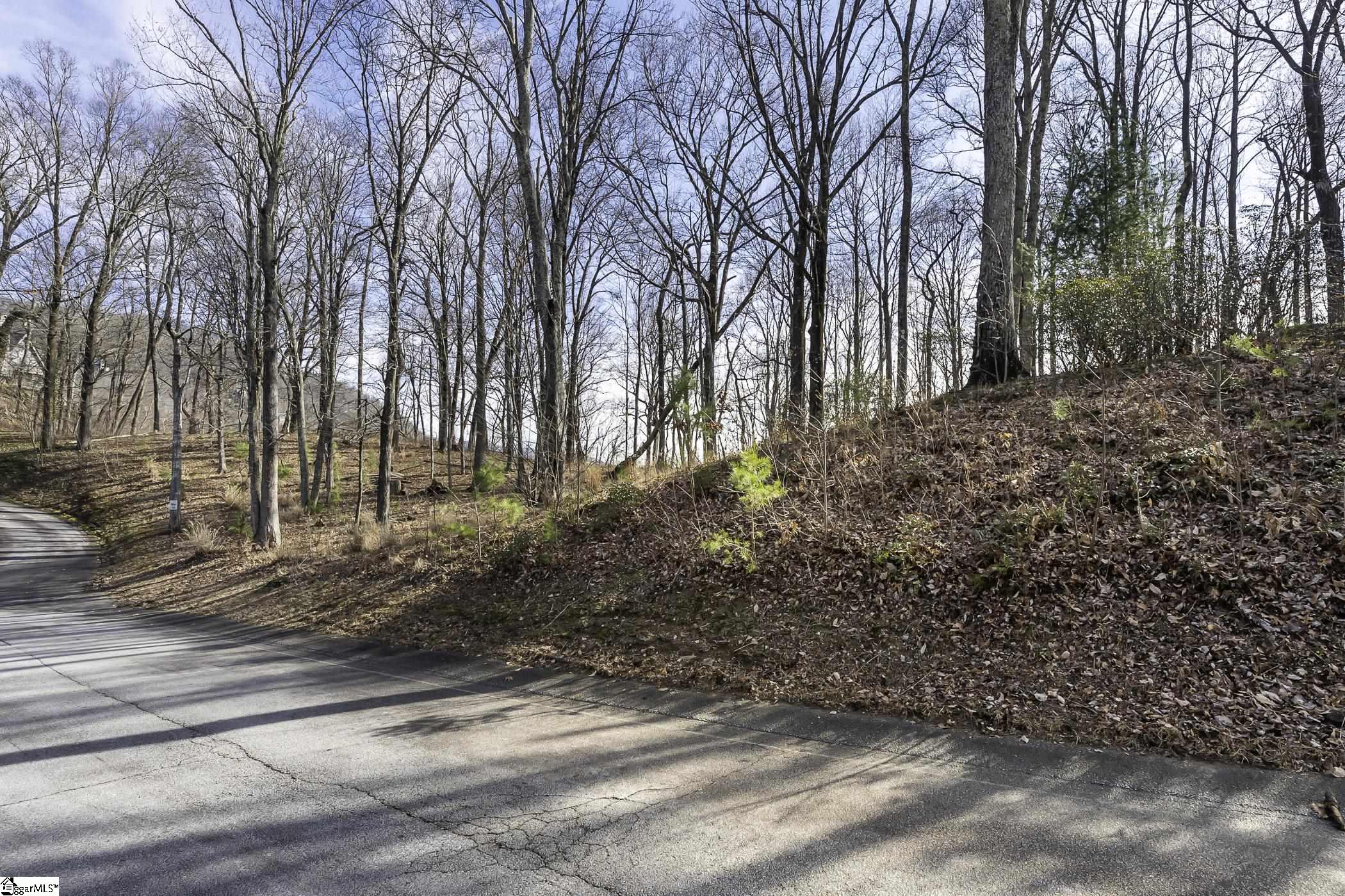 101 Upper Ridge, Travelers Rest, South Carolina image 14