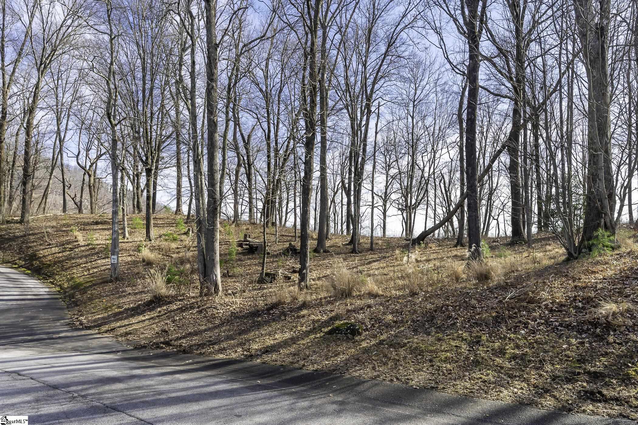 101 Upper Ridge, Travelers Rest, South Carolina image 15