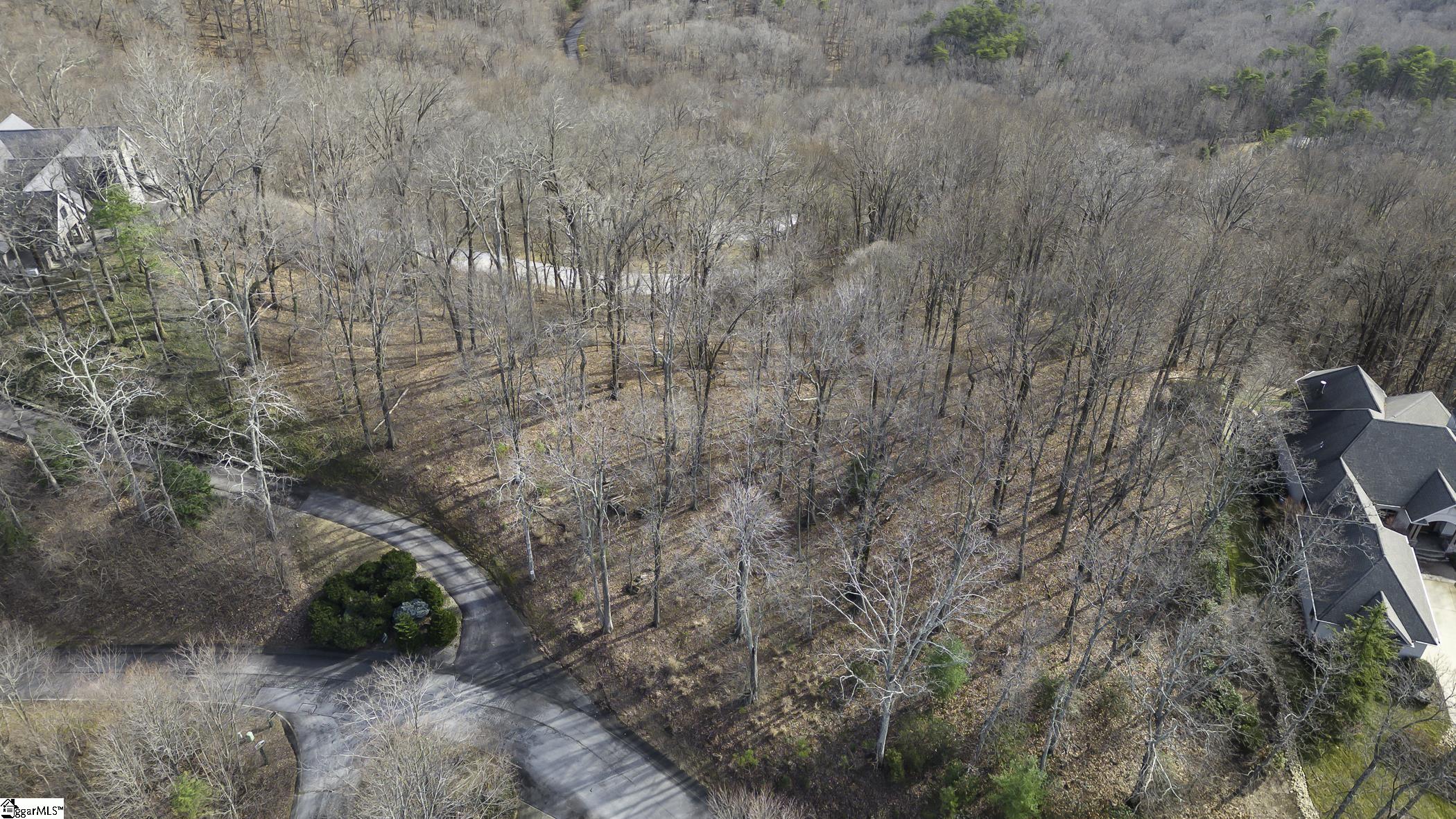 101 Upper Ridge, Travelers Rest, South Carolina image 10
