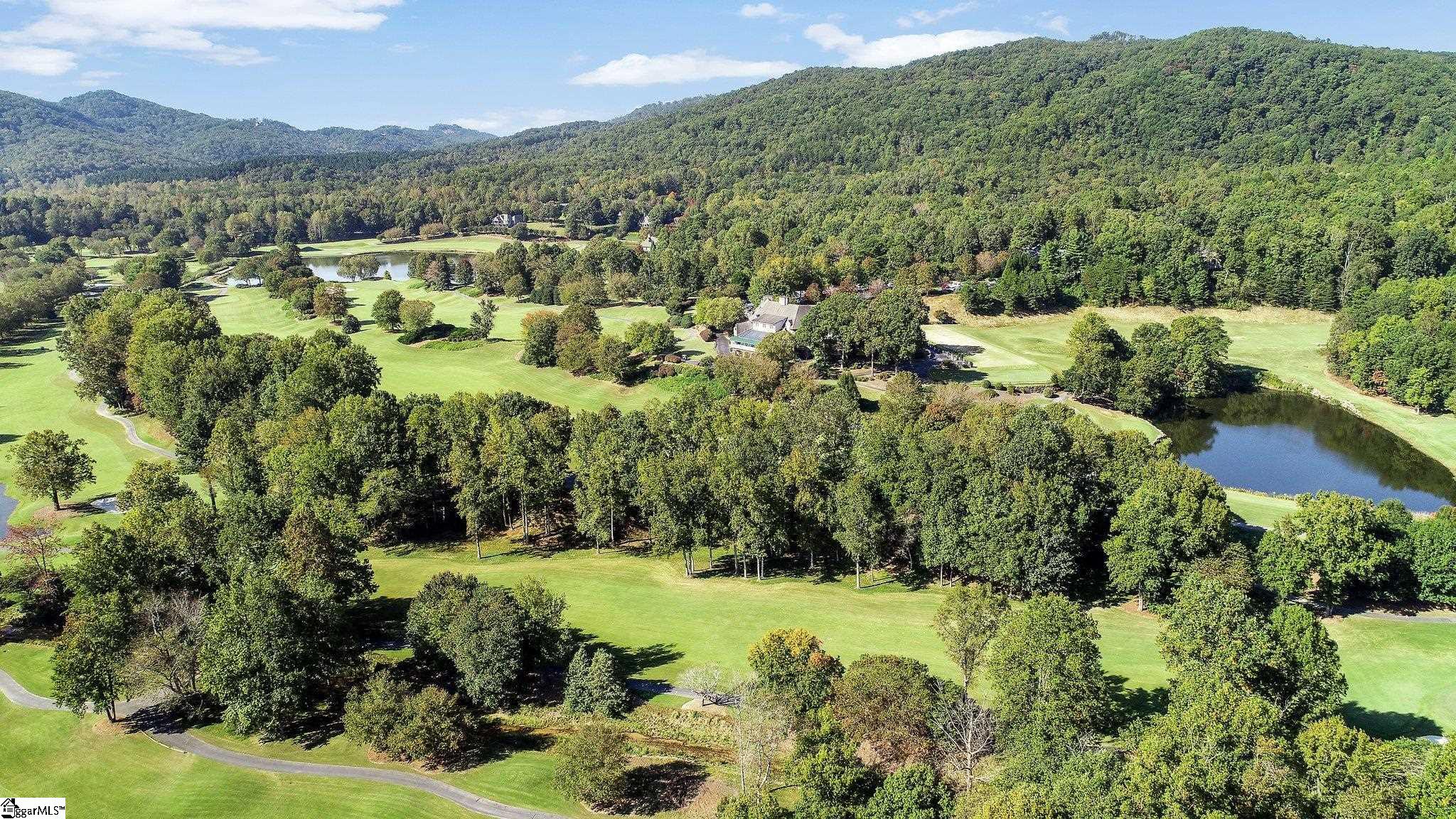101 Lake Hills, Travelers Rest, South Carolina image 49