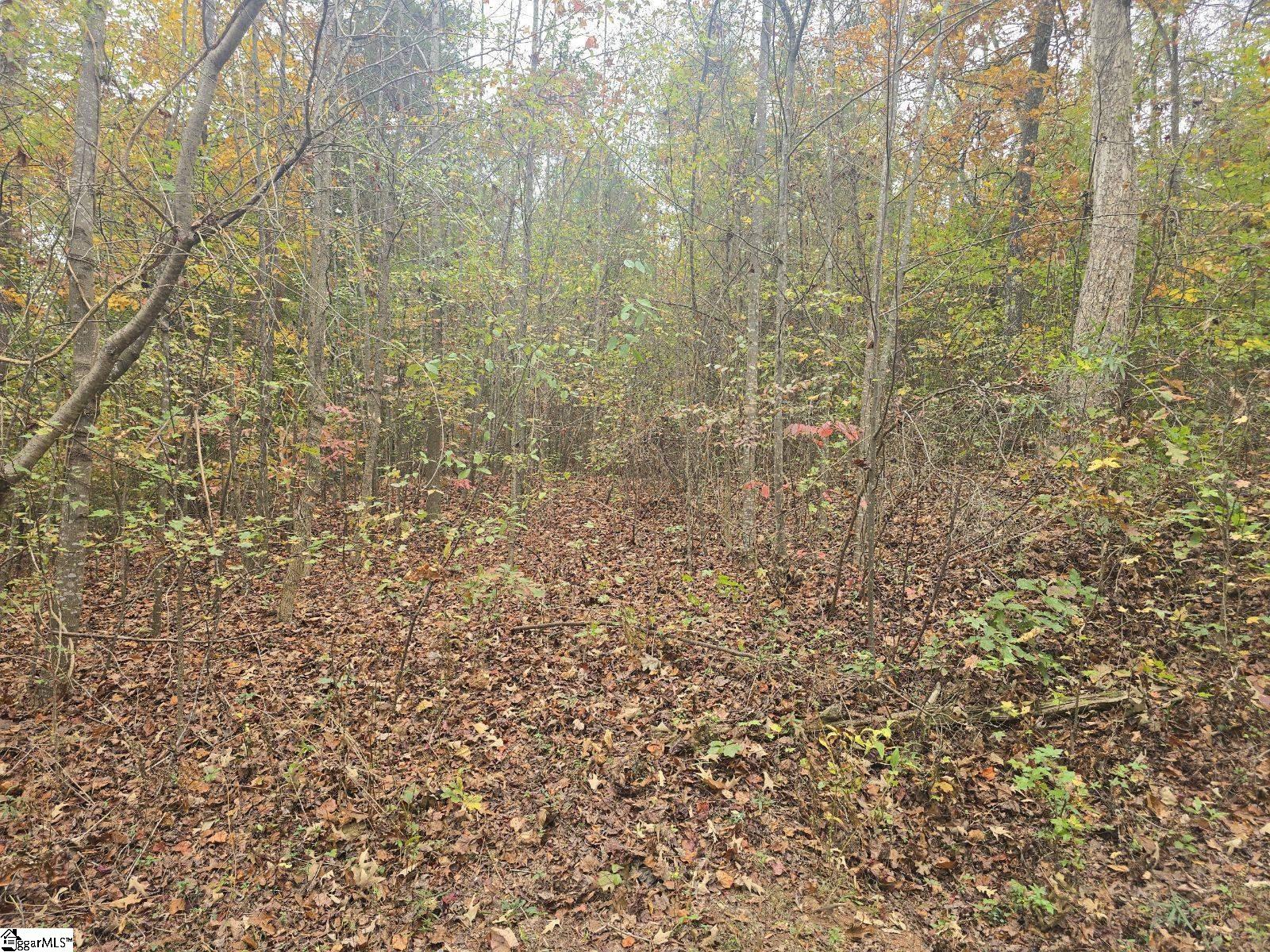 00 Marietta, Westminster, South Carolina image 2