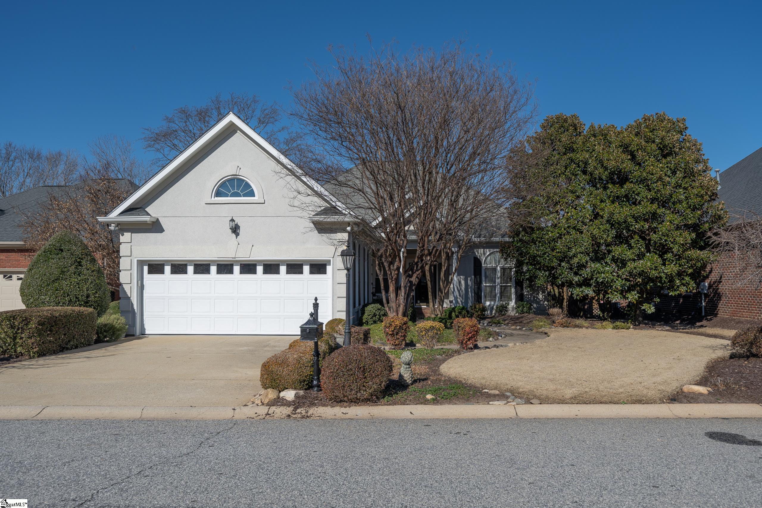 8 Germander, Greenville, South Carolina image 3