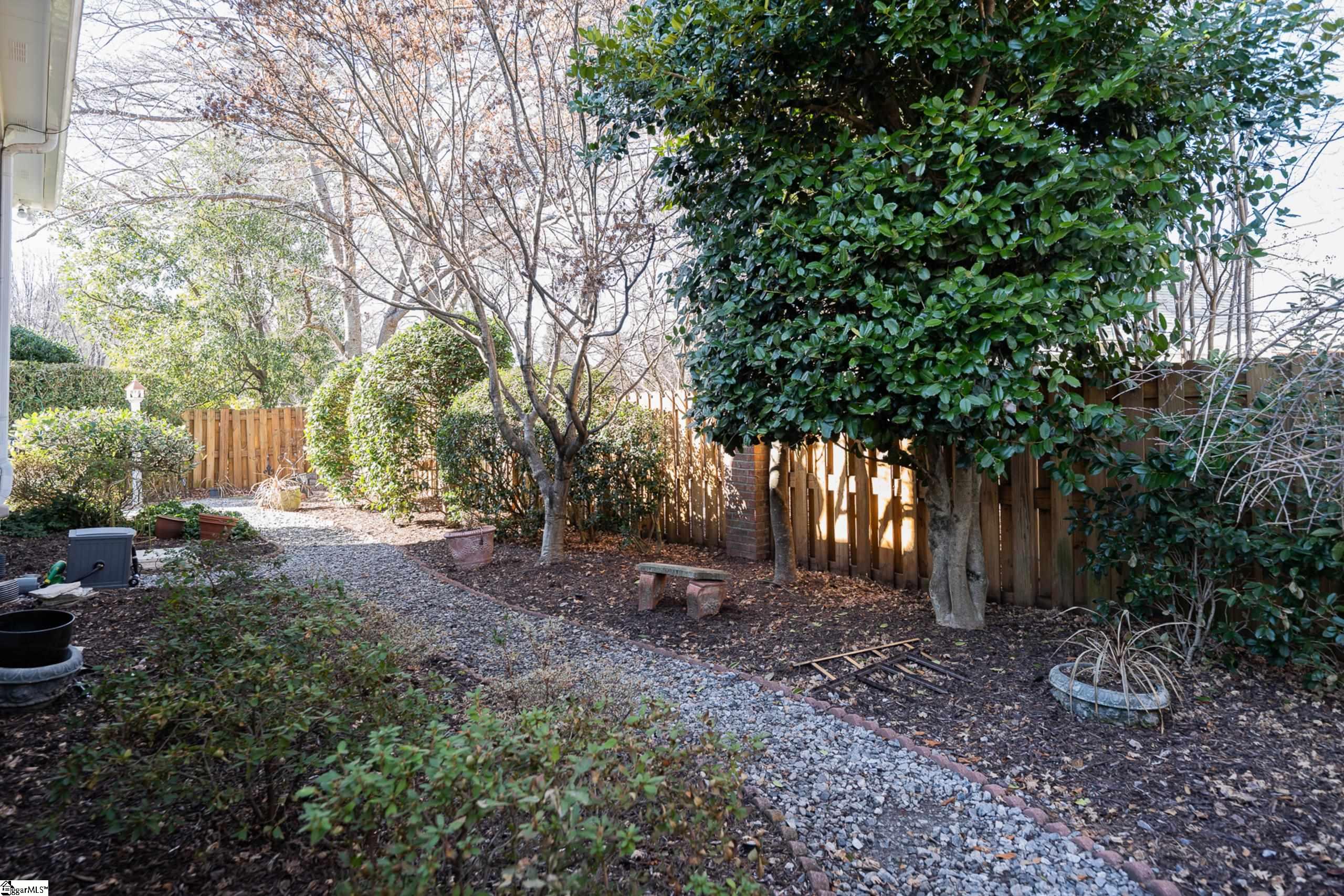 8 Germander, Greenville, South Carolina image 36