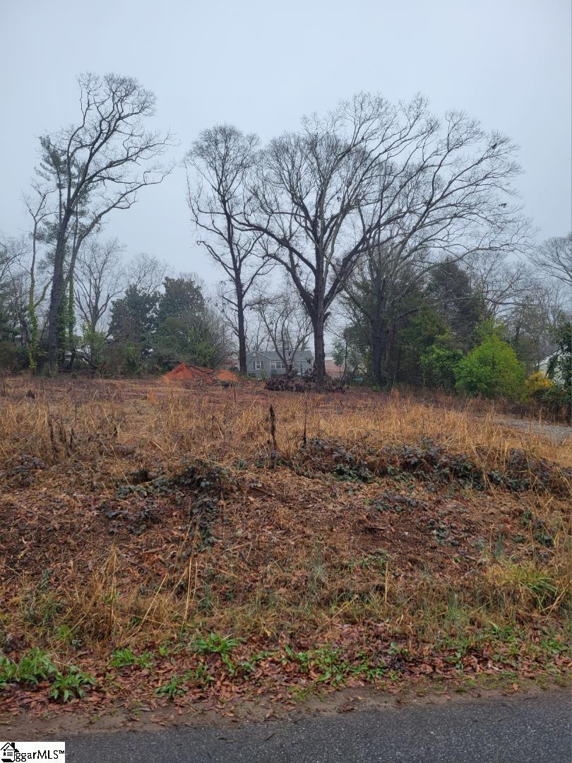 113 B Charles Street, Easley SC 29640