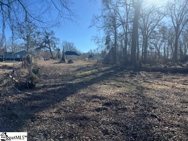 207 Summeral, Clinton, South Carolina image 2