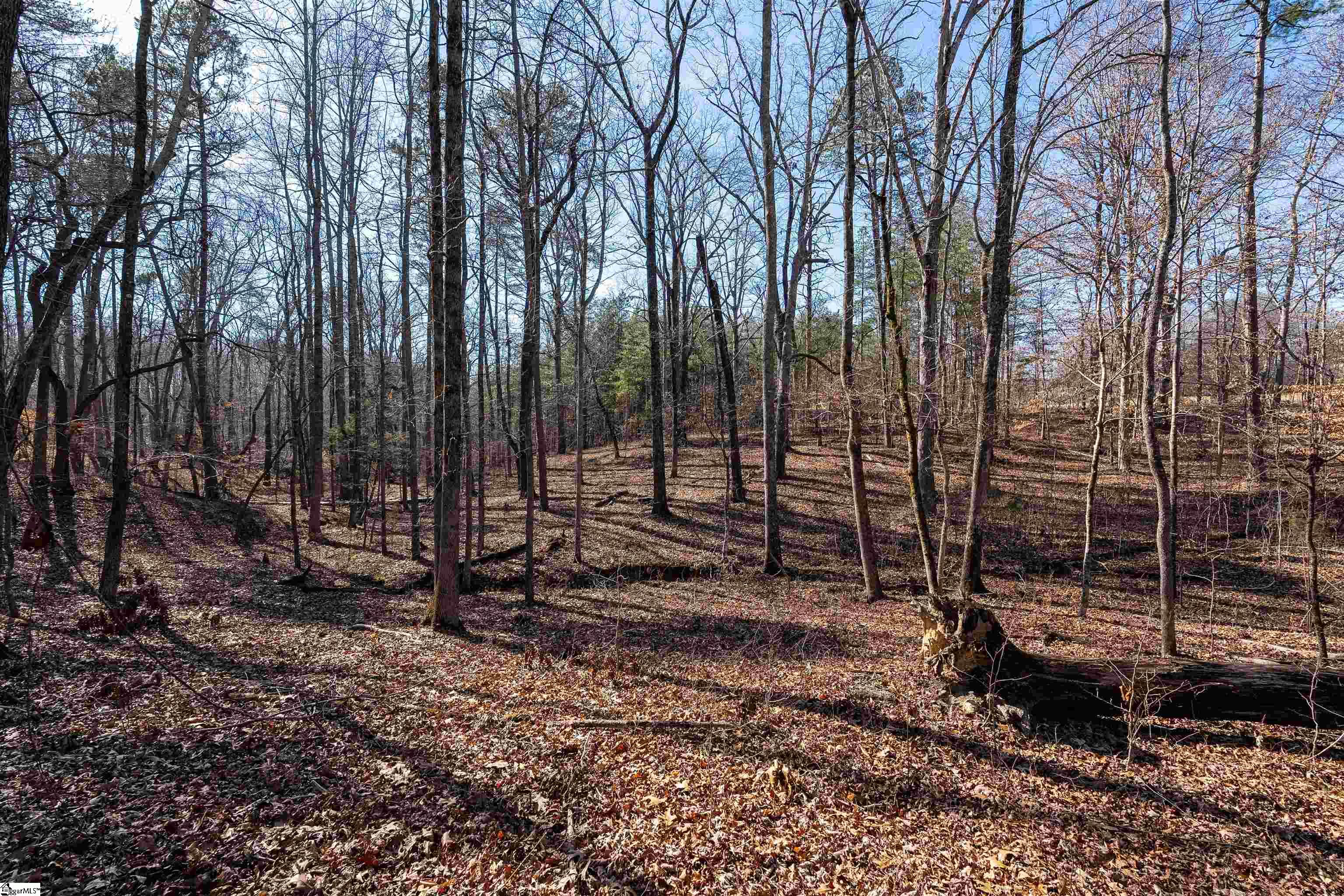365 Patterson, Spartanburg, South Carolina image 27