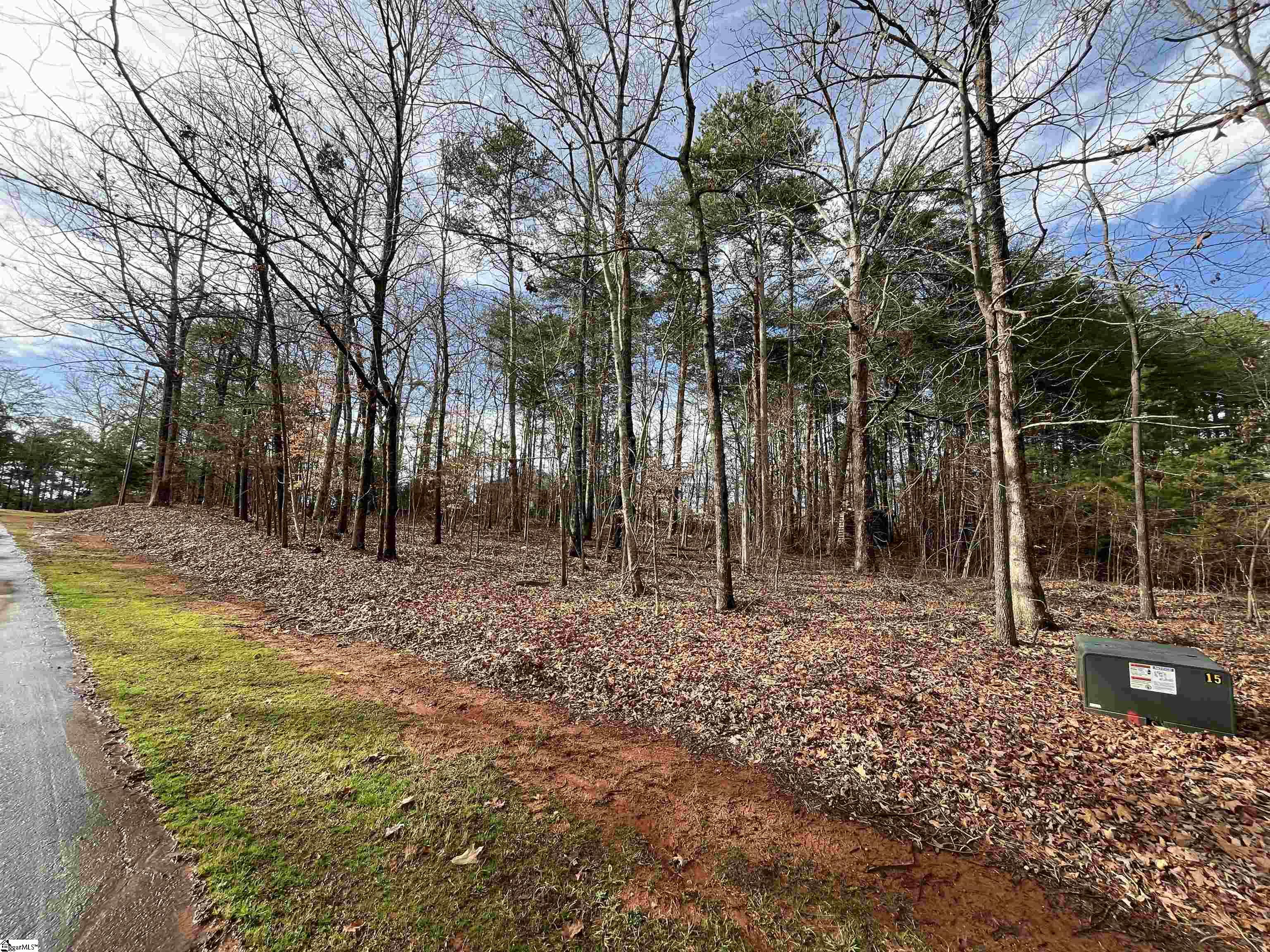 TBD Pintail Road Lot 25 Pintail Road