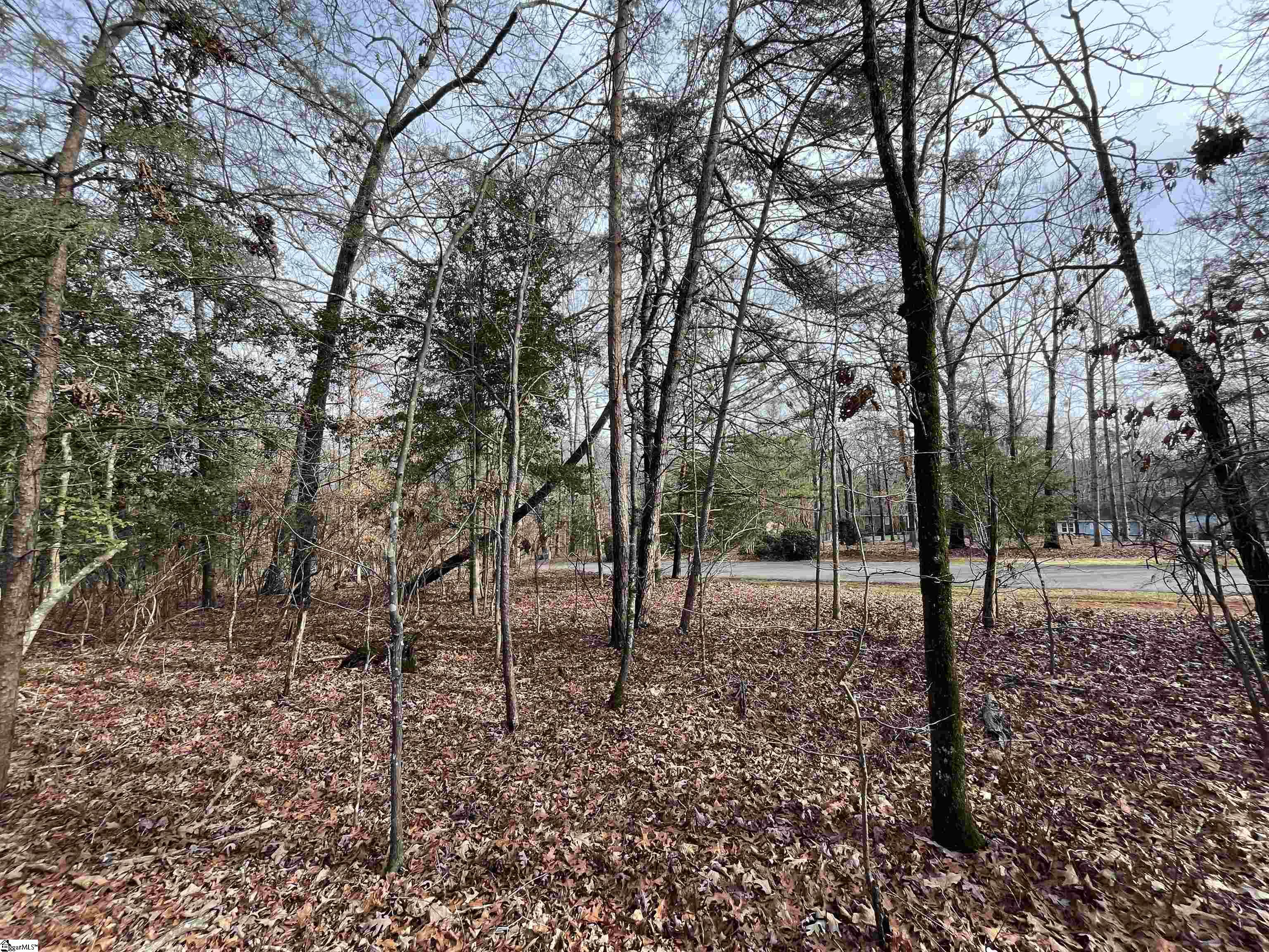 TBD Pintail Road Lot 25 Pintail Road