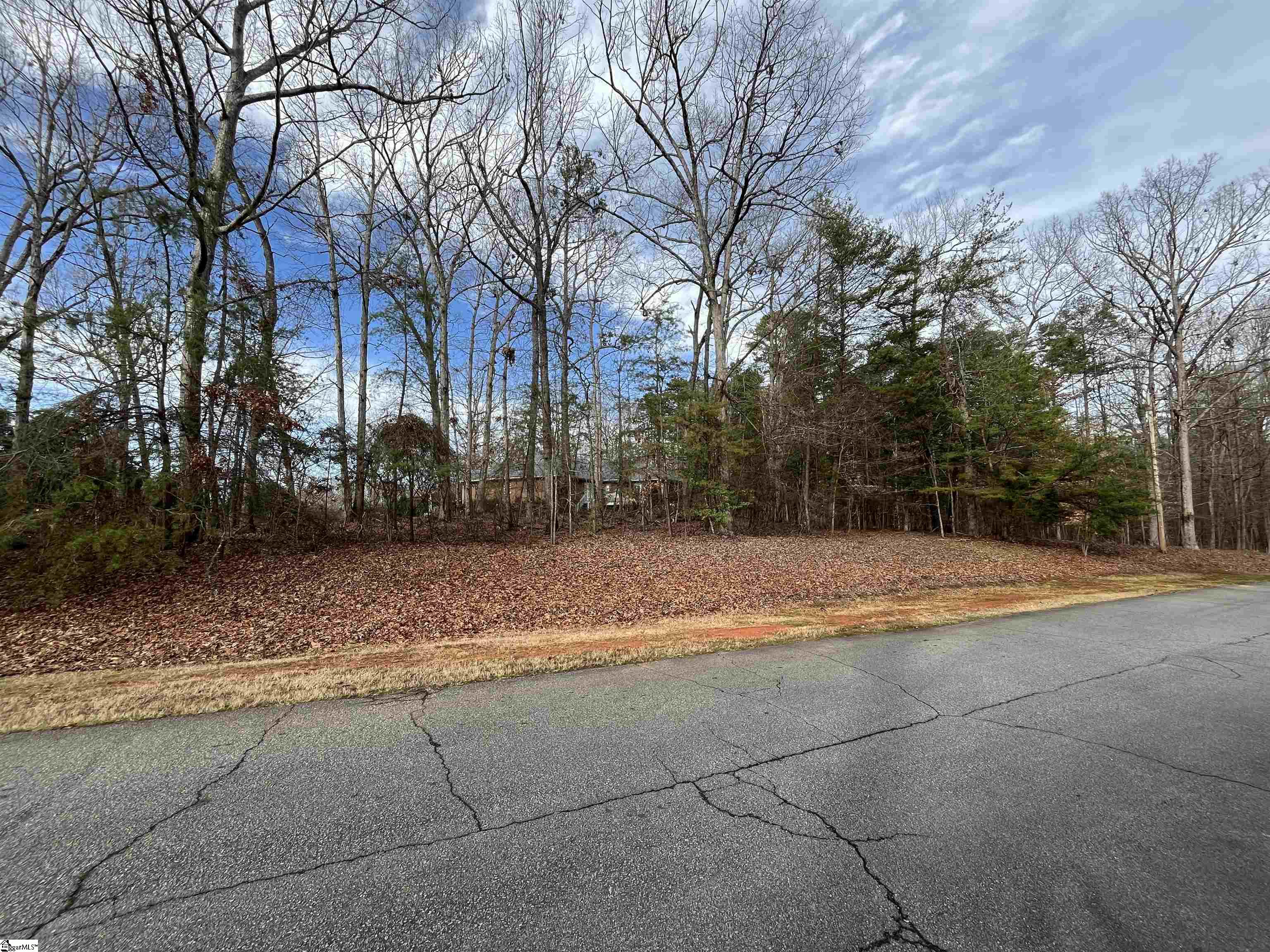 TBD Pintail Road Lot 25 Pintail Road