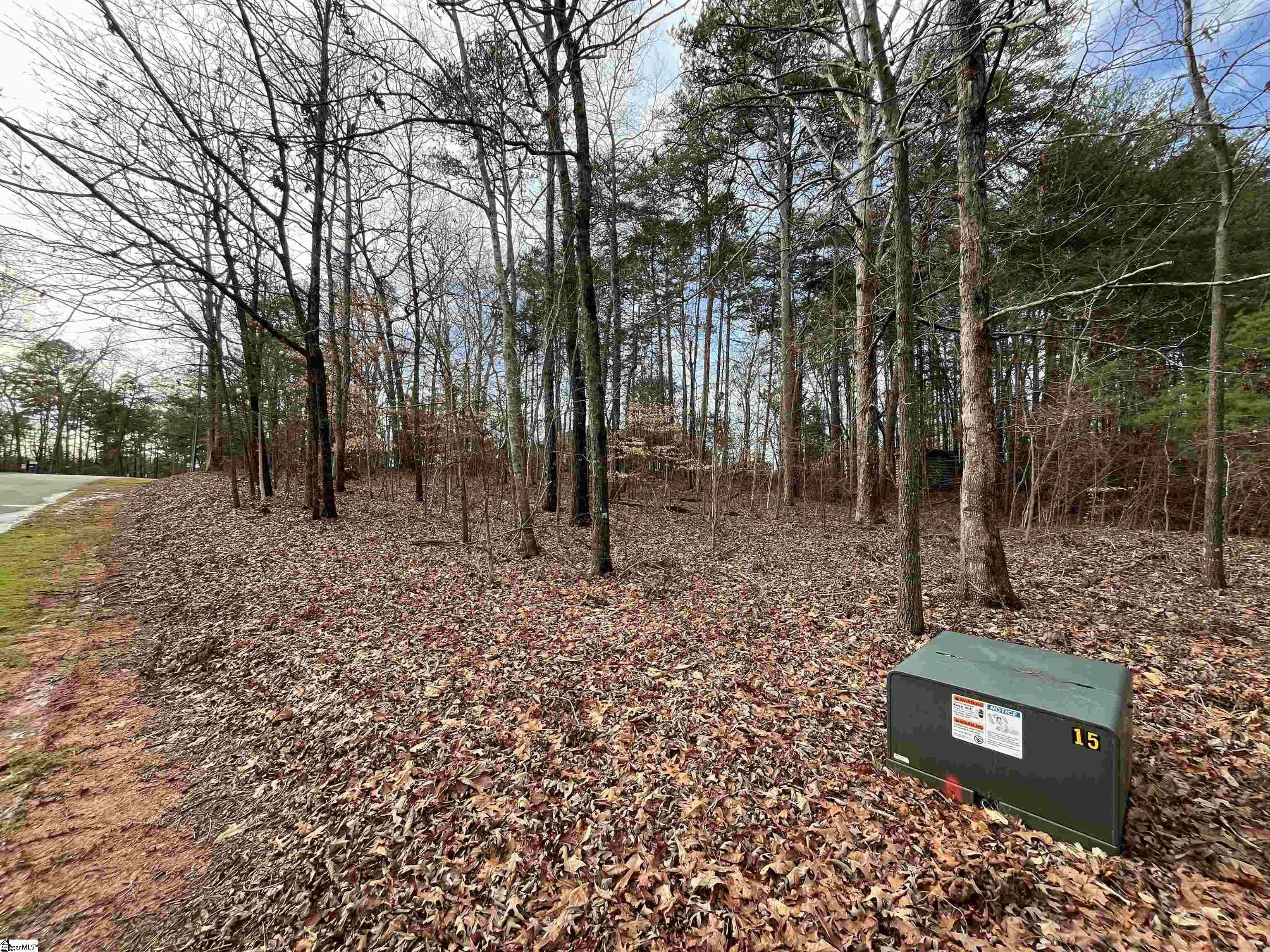TBD Pintail Road Lot 25 Pintail Road